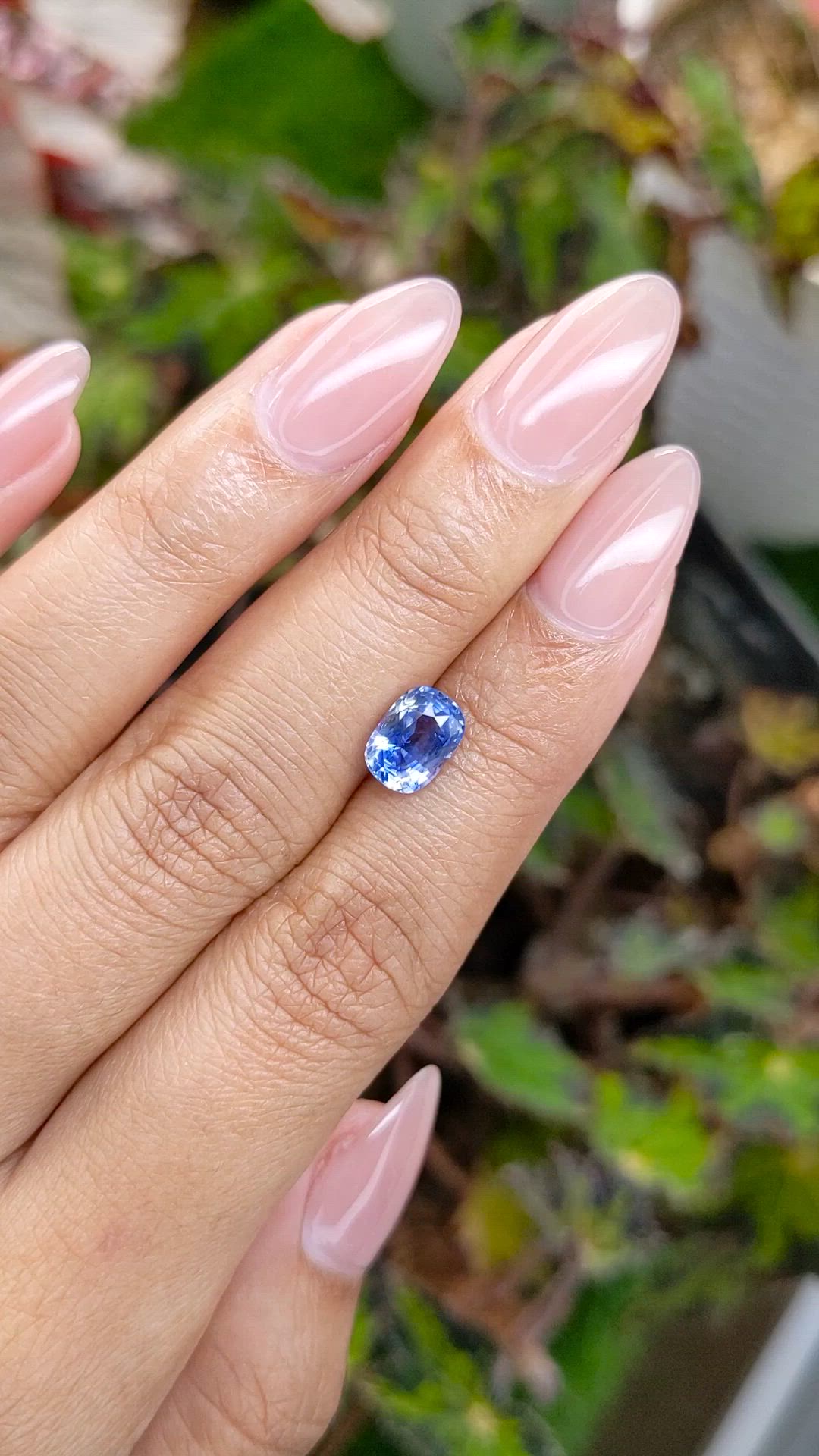 1.97 Ct. Blue Sapphire from Ceylon (Sri Lanka) Size Video