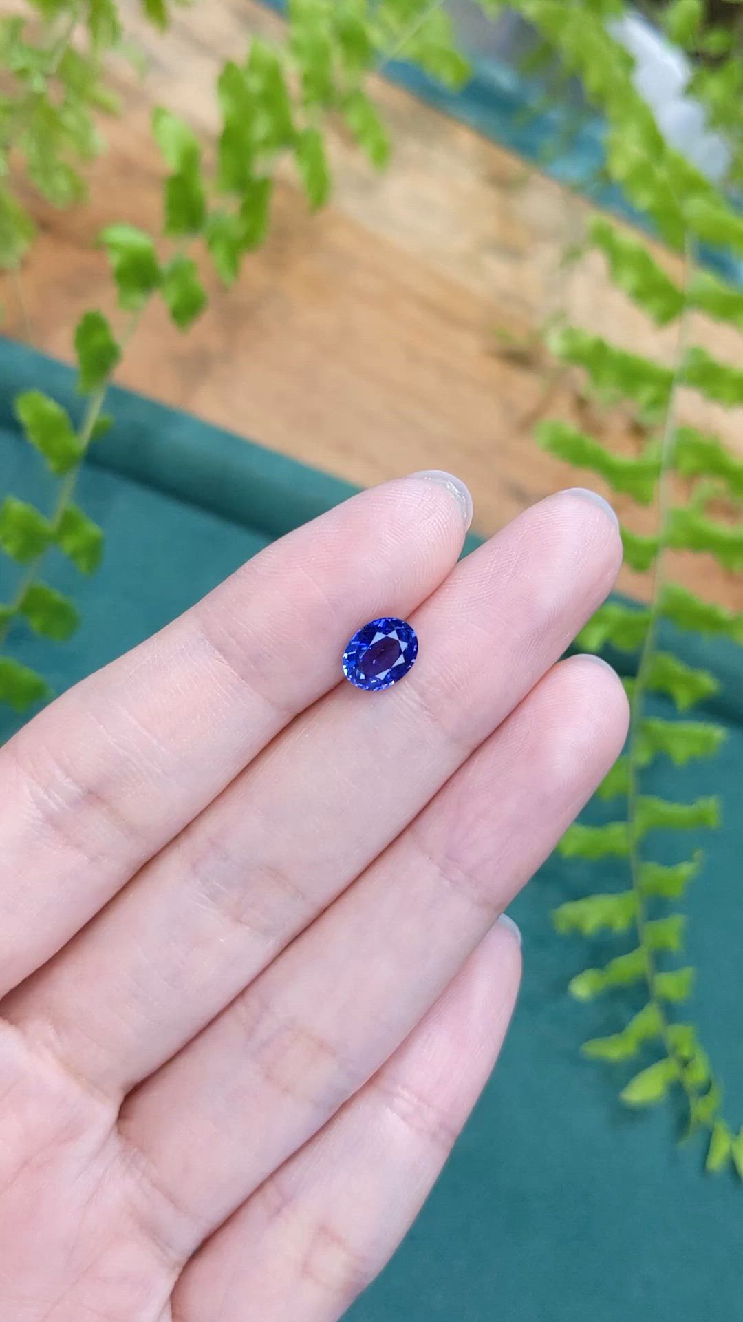 1.43 Ct. Blue Sapphire from Ceylon (Sri Lanka) Size Video