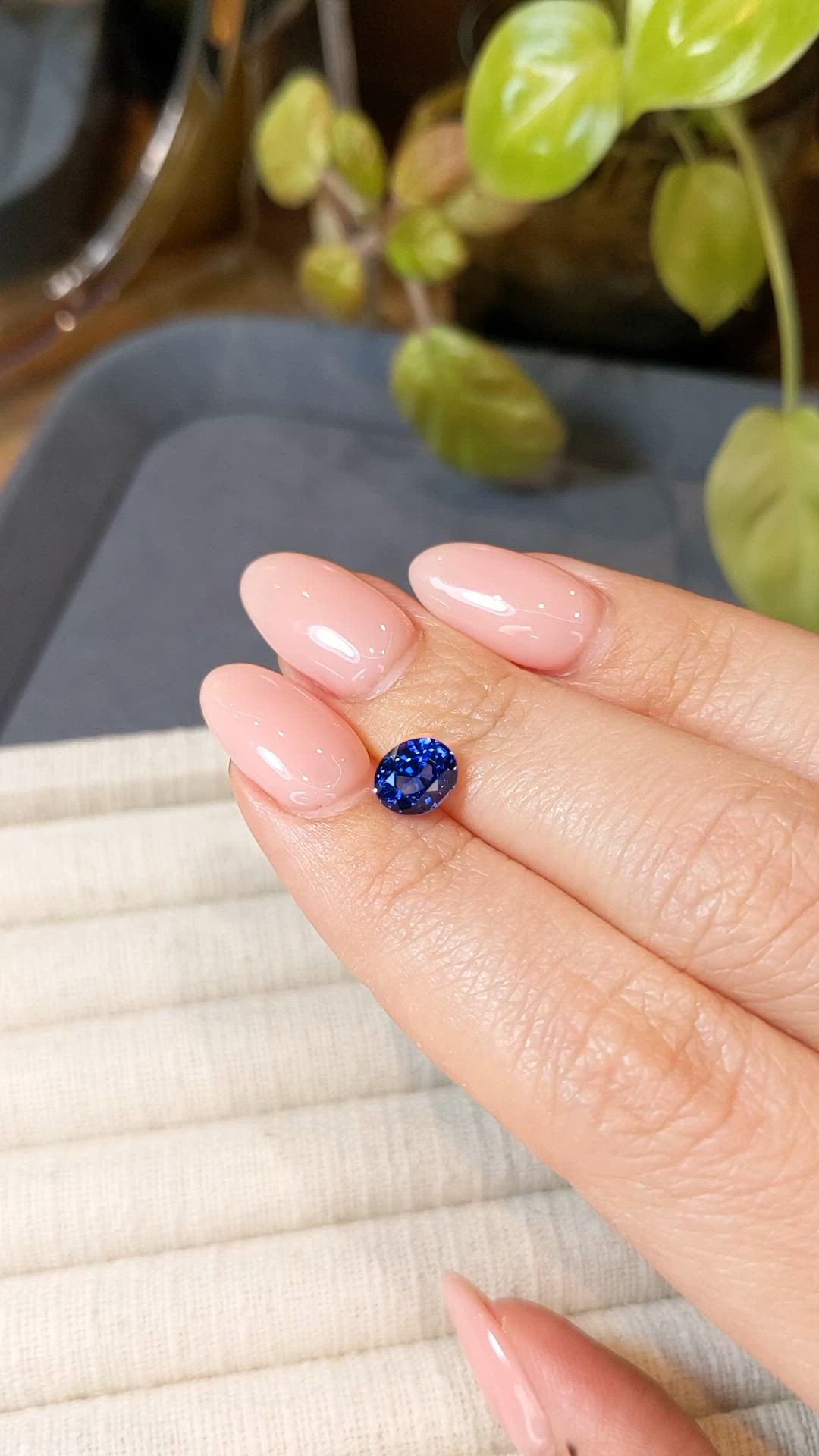 1.65 Ct. Blue Sapphire from Ceylon (Sri Lanka) Size Video