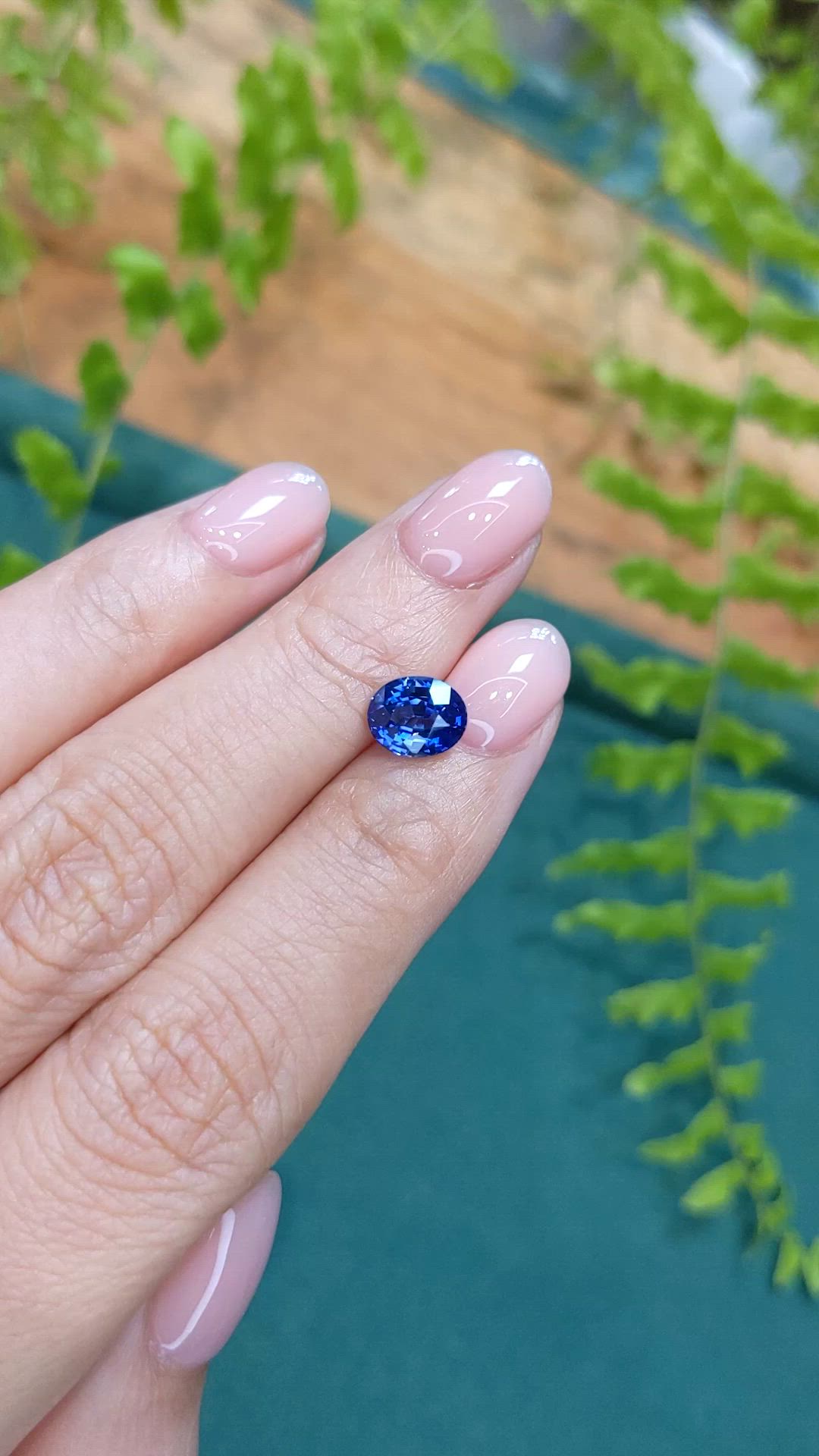 1.78 Ct. Blue Sapphire from Ceylon (Sri Lanka) Size Video