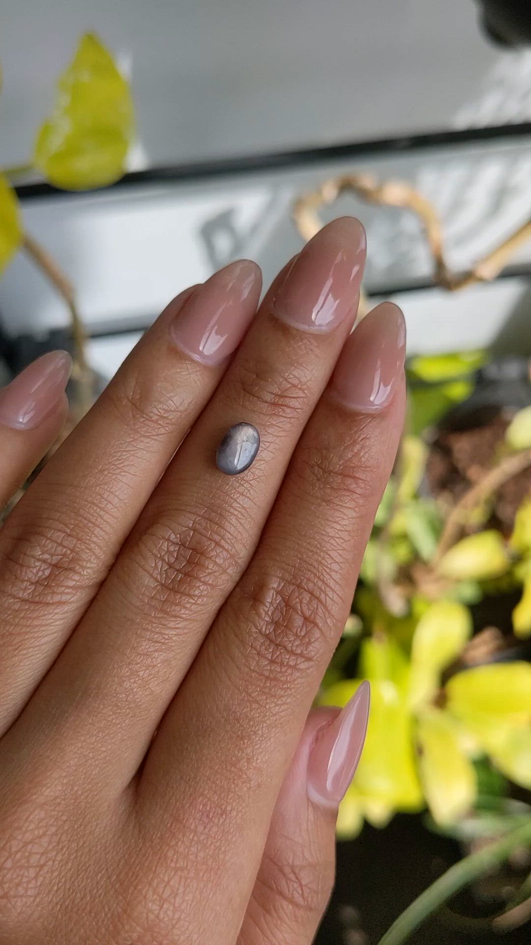 1.42 Ct. Greyish Blue Star Sapphire from Ceylon (Sri Lanka) Size Video