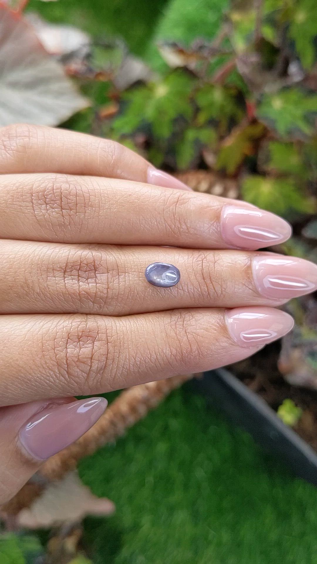 1.42 Ct. Greyish Blue Star Sapphire from Ceylon (Sri Lanka) Size Video