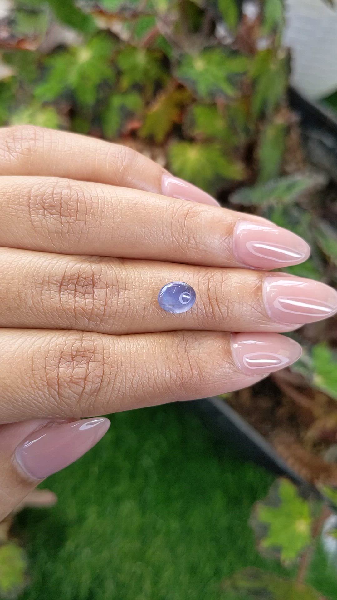 1.75 Ct. Blue Star Sapphire from Ceylon (Sri Lanka) Size Video