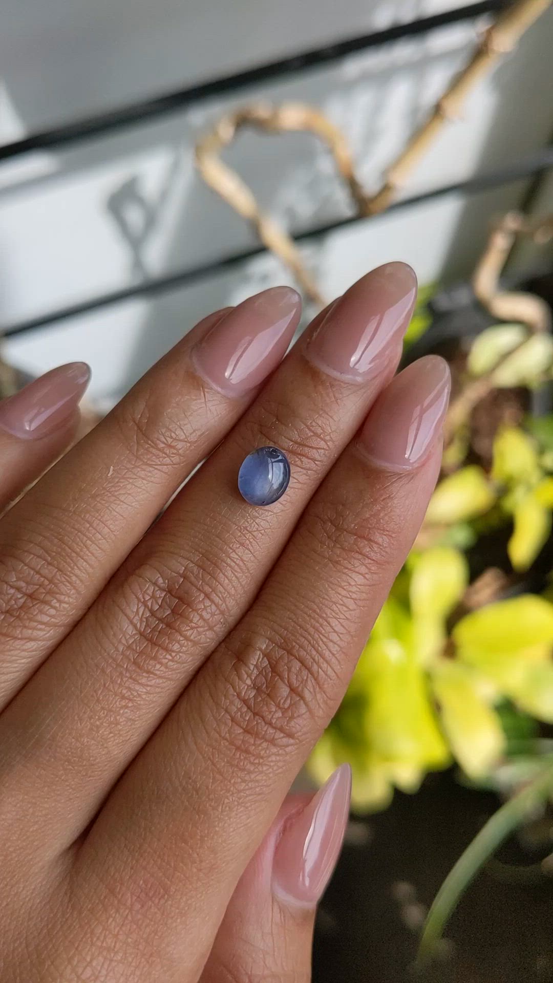 1.75 Ct. Blue Star Sapphire from Ceylon (Sri Lanka) Size Video