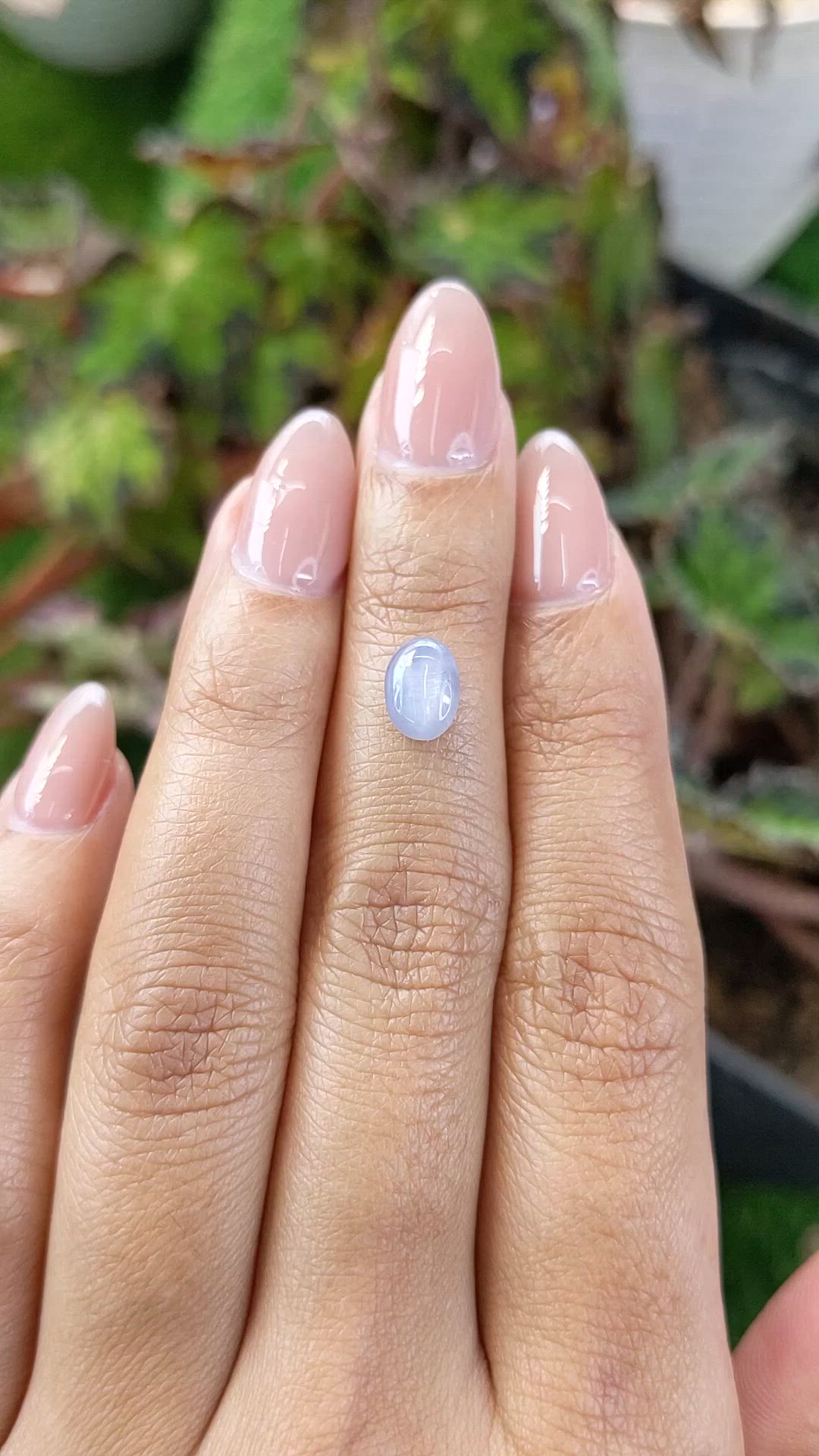 1.63 Ct. Blue Star Sapphire from Ceylon (Sri Lanka) Size Video