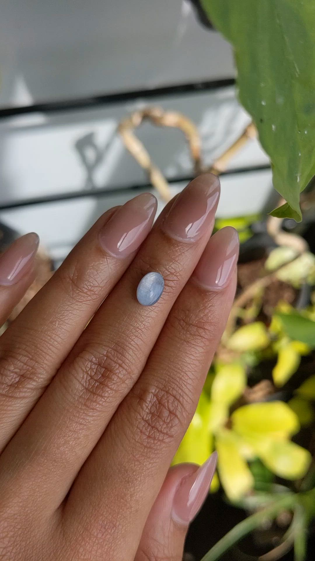 1.63 Ct. Blue Star Sapphire from Ceylon (Sri Lanka) Size Video