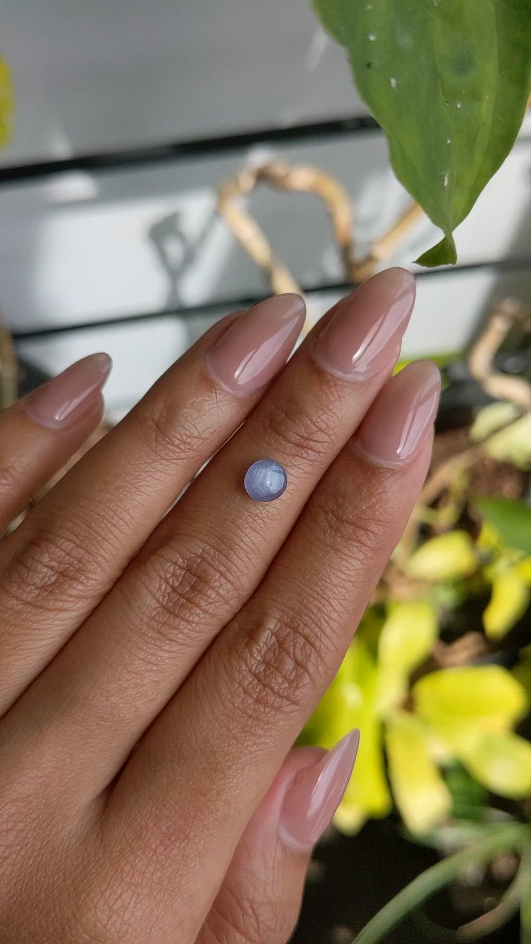 1.26 Ct. Bluish Purple Star Sapphire from Ceylon (Sri Lanka) Size Video