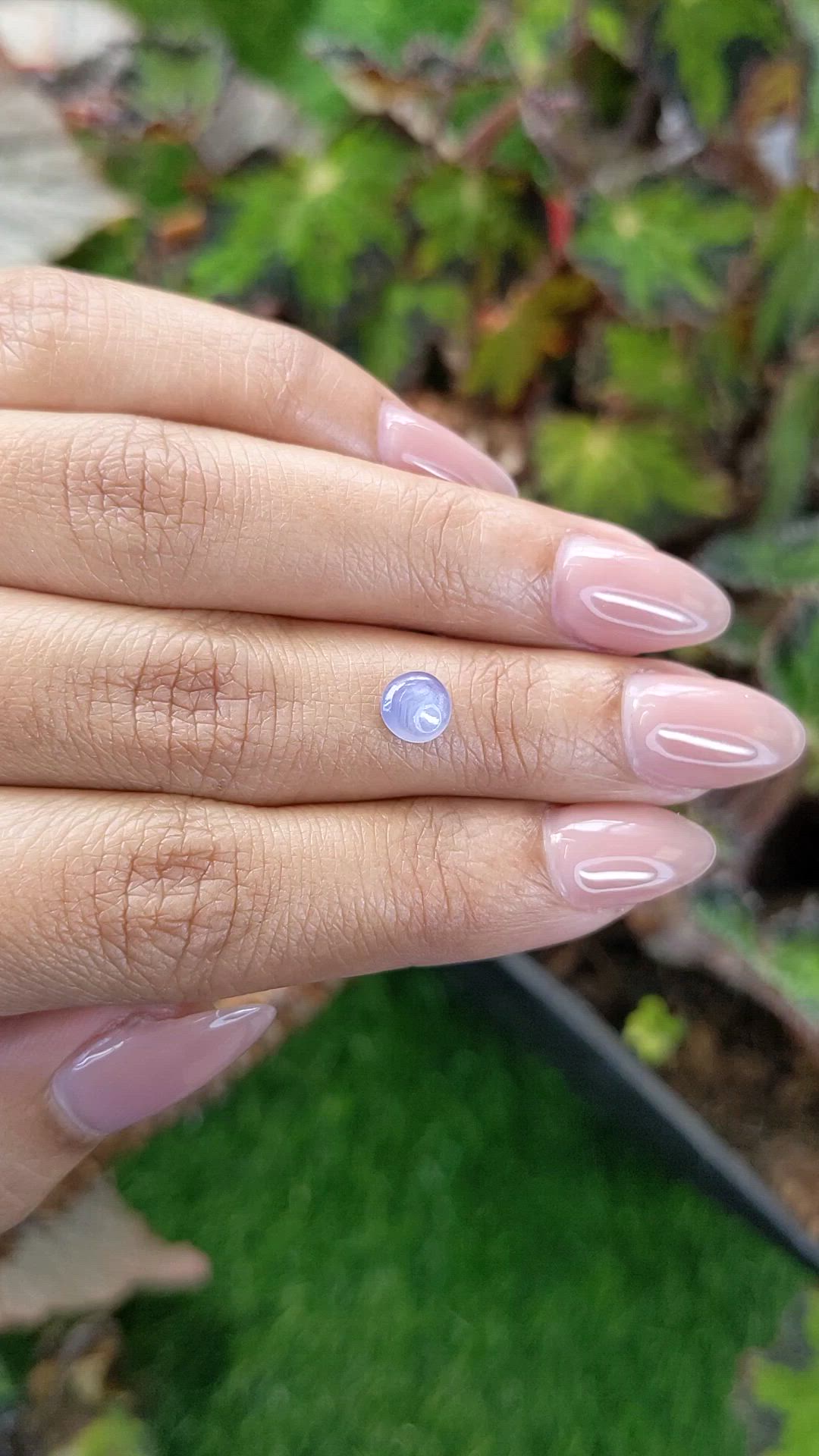 1.26 Ct. Bluish Purple Star Sapphire from Ceylon (Sri Lanka) Size Video