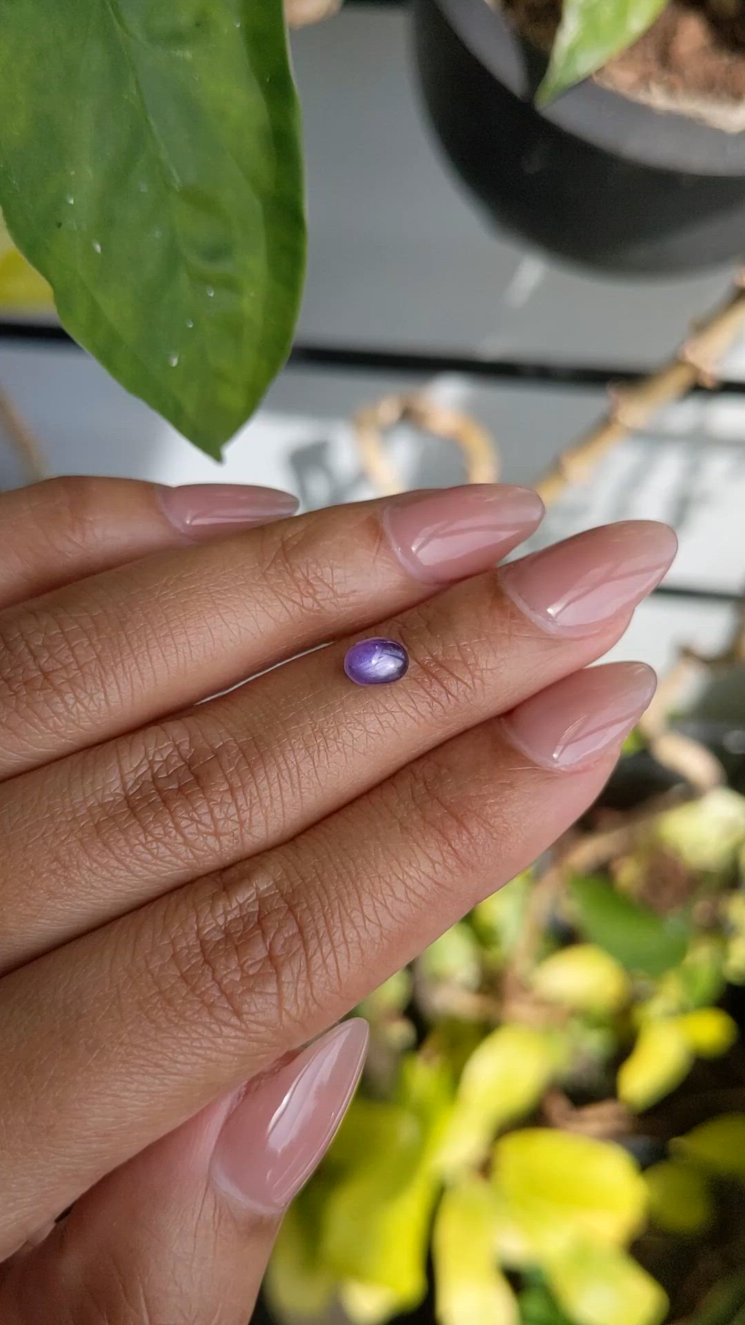 1.04 Ct. Purple Star Sapphire from Ceylon (Sri Lanka) Size Video