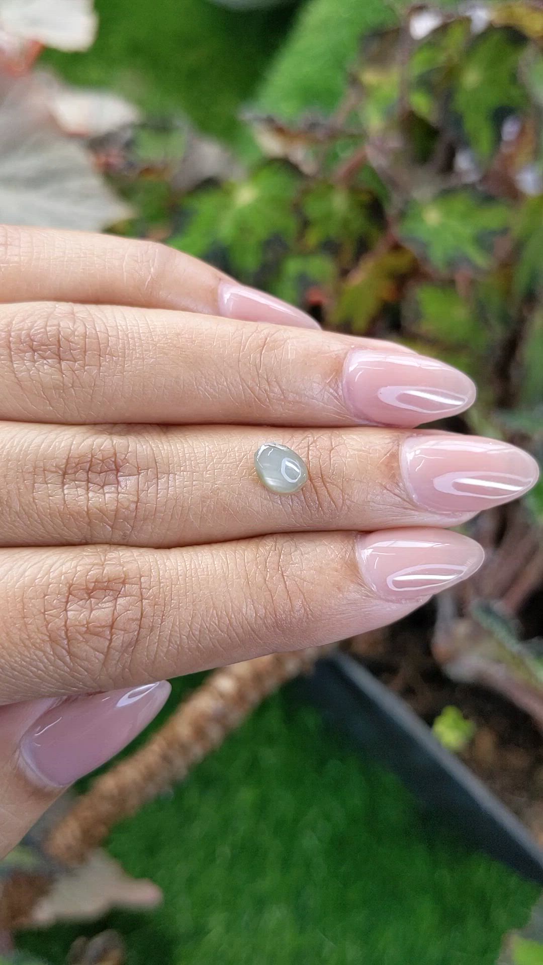 1.48 Ct. Grey Star Sapphire from Ceylon (Sri Lanka) Size Video