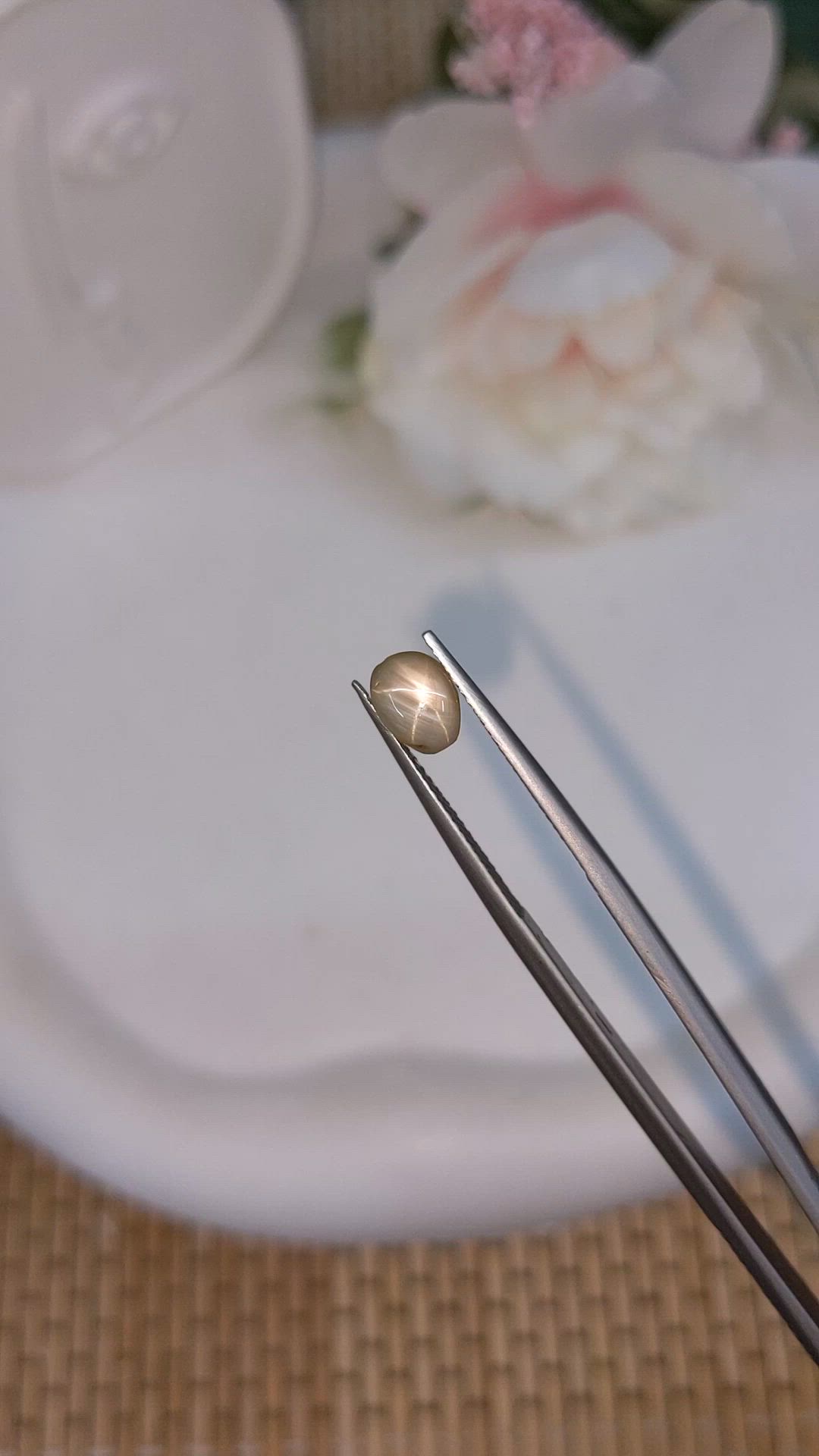 1.48 Ct. Grey Star Sapphire from Ceylon (Sri Lanka) Size Video