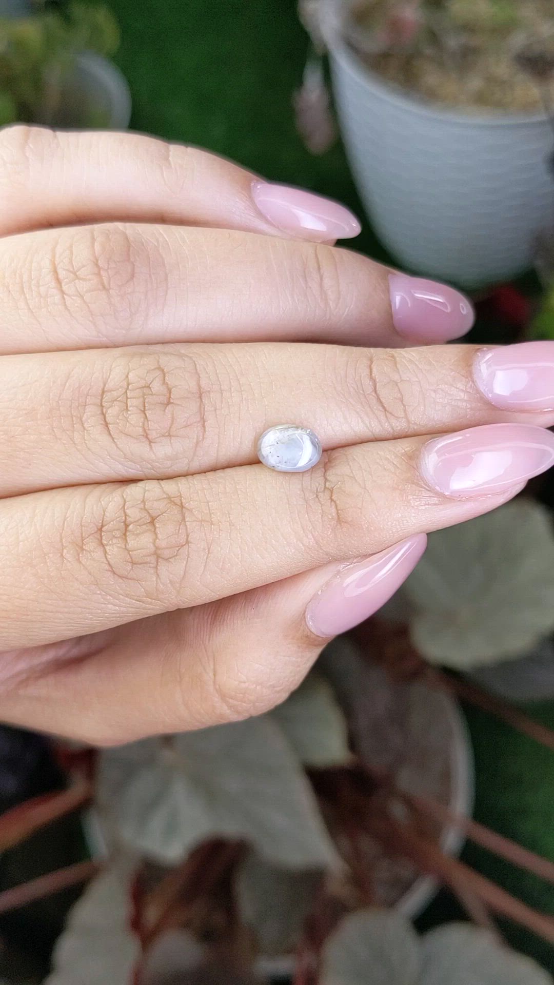 1.37 Ct. Grey Star Sapphire from Ceylon (Sri Lanka) Size Video