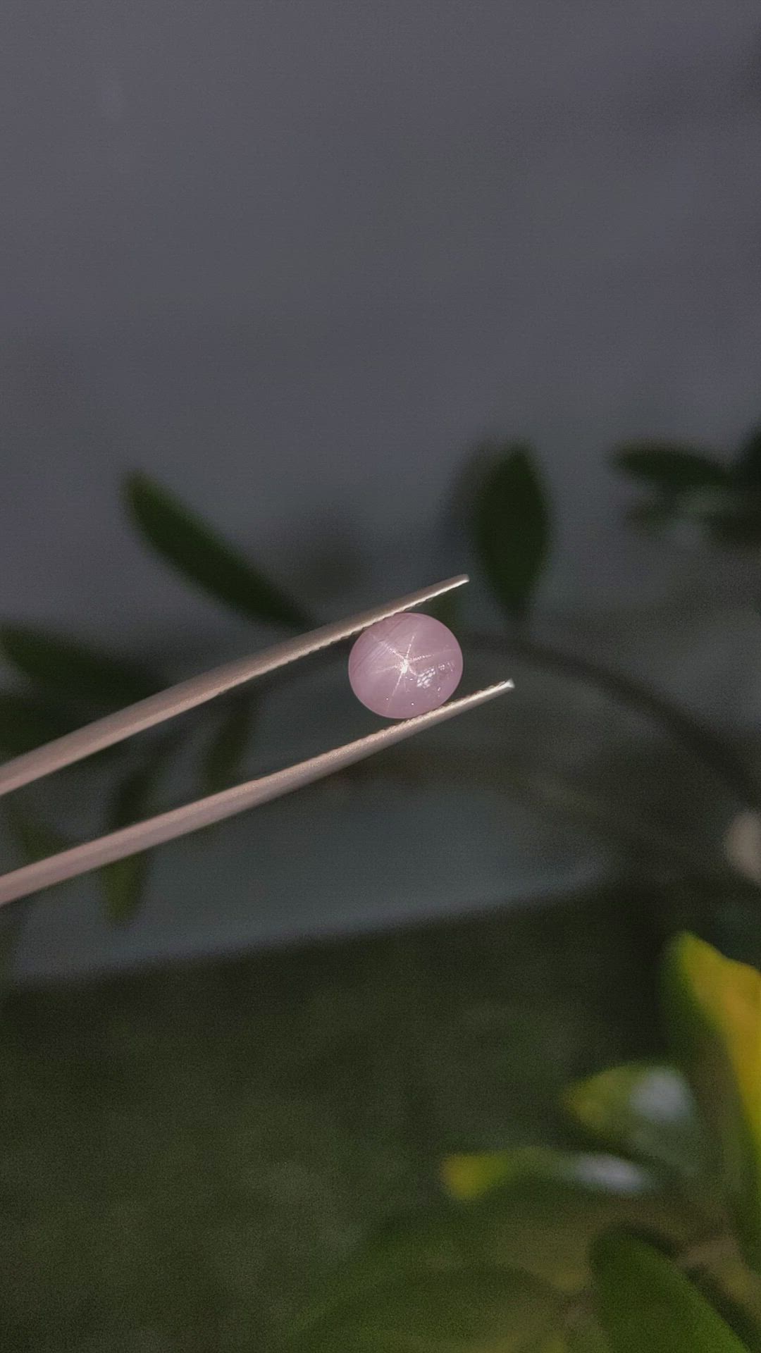 3.18 Ct. Pink Star Sapphire from Burma (Myanmar) Size Video