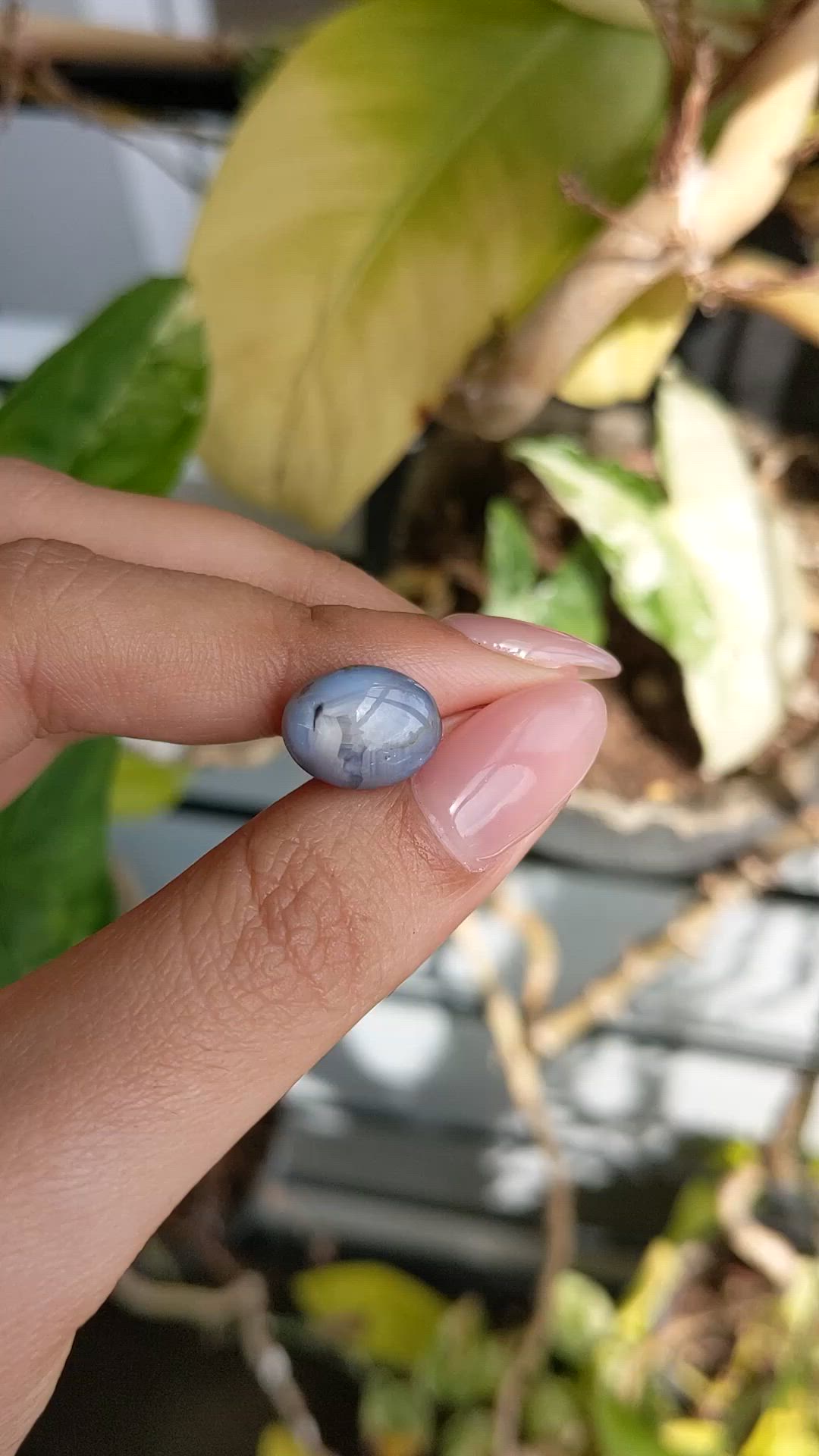 7.36 Ct. Purplish Blue Star Sapphire from Ceylon (Sri Lanka) Size Video