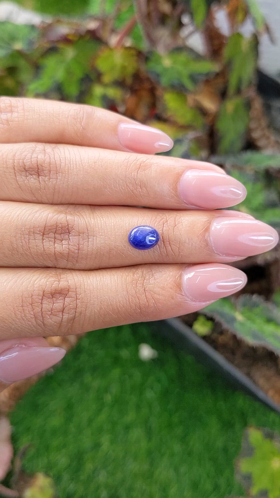 1.20 Ct. Blue Cabochon Sapphire from Ceylon (Sri Lanka) Size Video