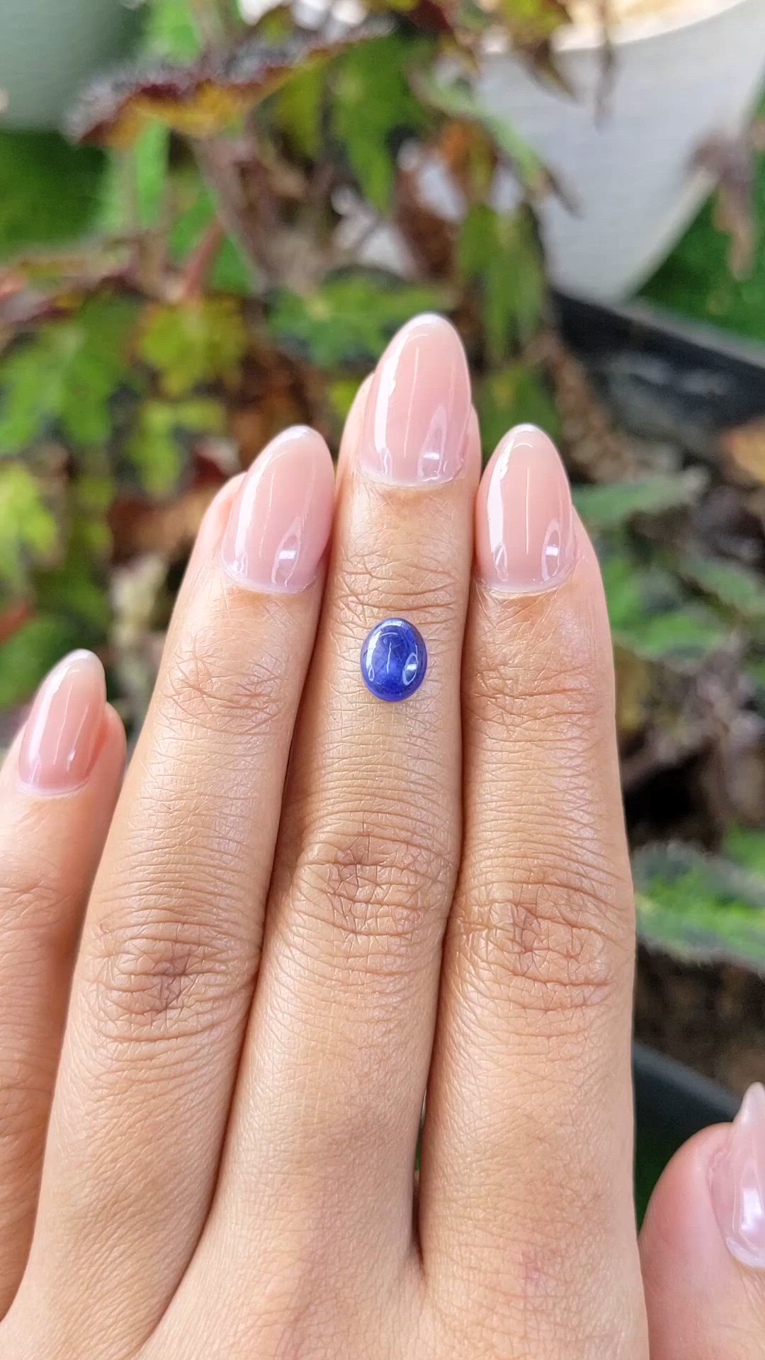 1.20 Ct. Blue Cabochon Sapphire from Ceylon (Sri Lanka) Size Video