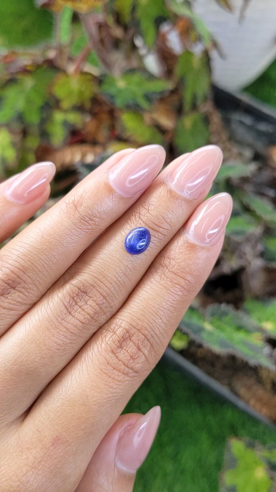 1.20 Ct. Blue Cabochon Sapphire from Ceylon (Sri Lanka) Size Video