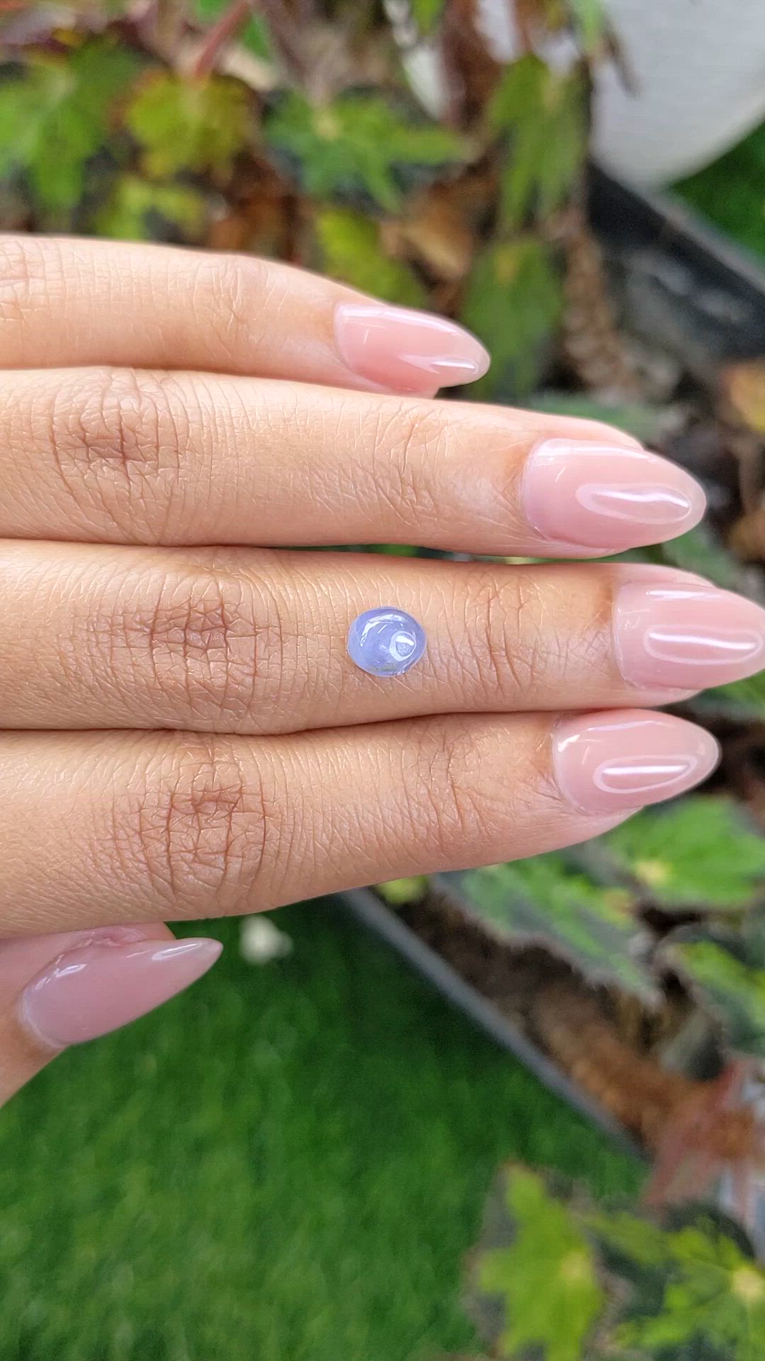1.60 Ct. Blue Cabochon Sapphire from Ceylon (Sri Lanka) Size Video