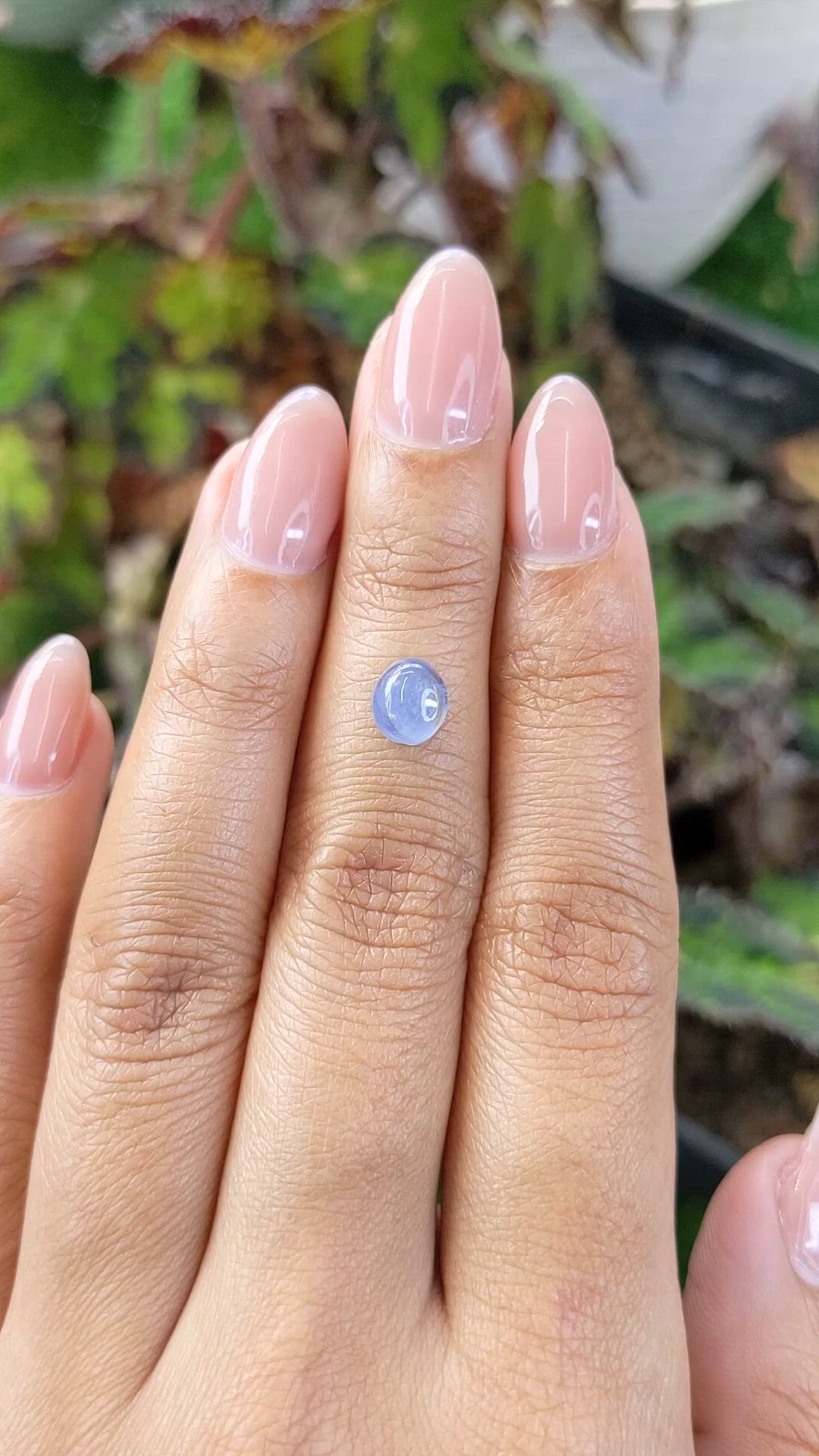 1.60 Ct. Blue Cabochon Sapphire from Ceylon (Sri Lanka) Size Video