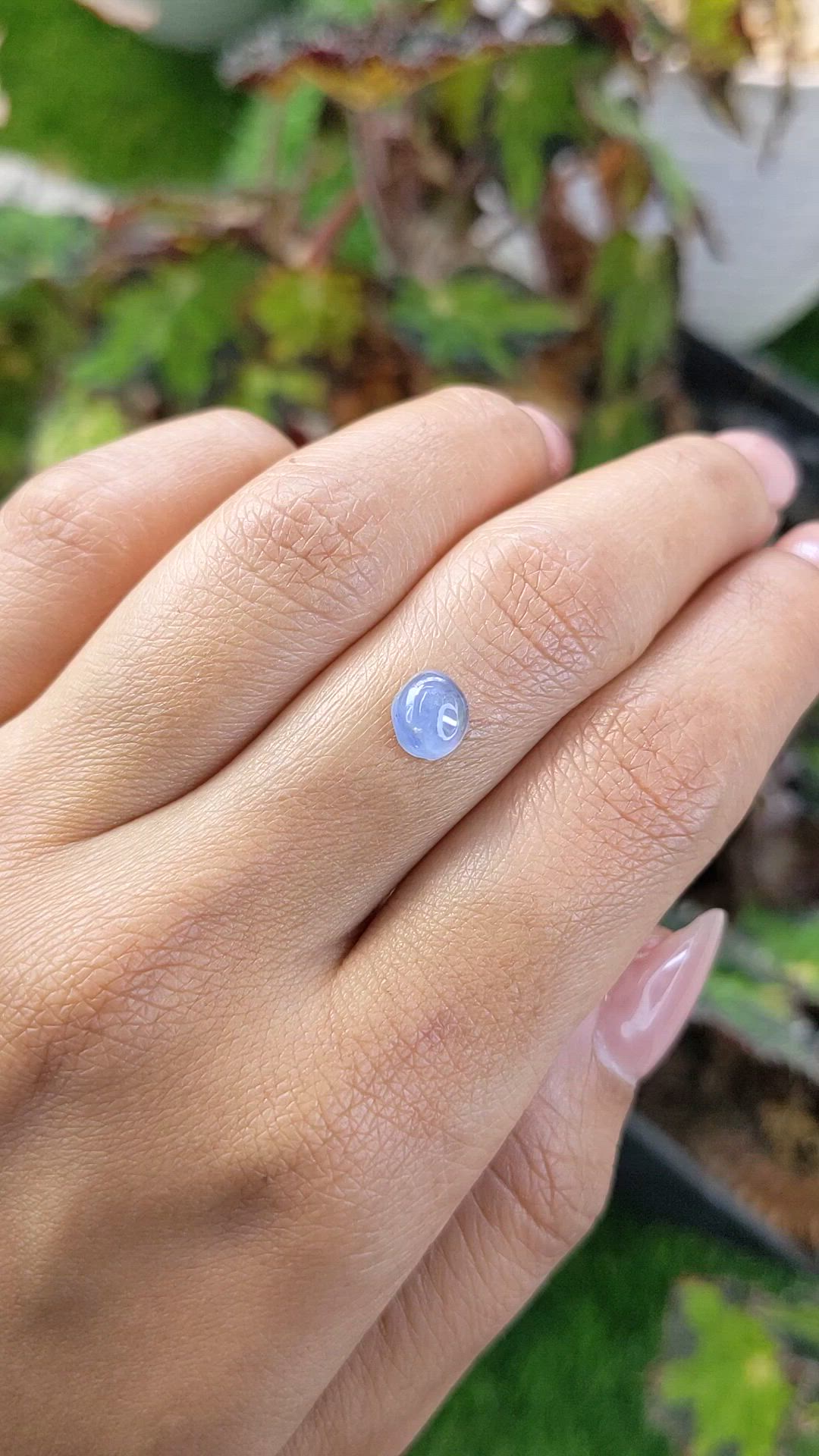 1.60 Ct. Blue Cabochon Sapphire from Ceylon (Sri Lanka) Size Video