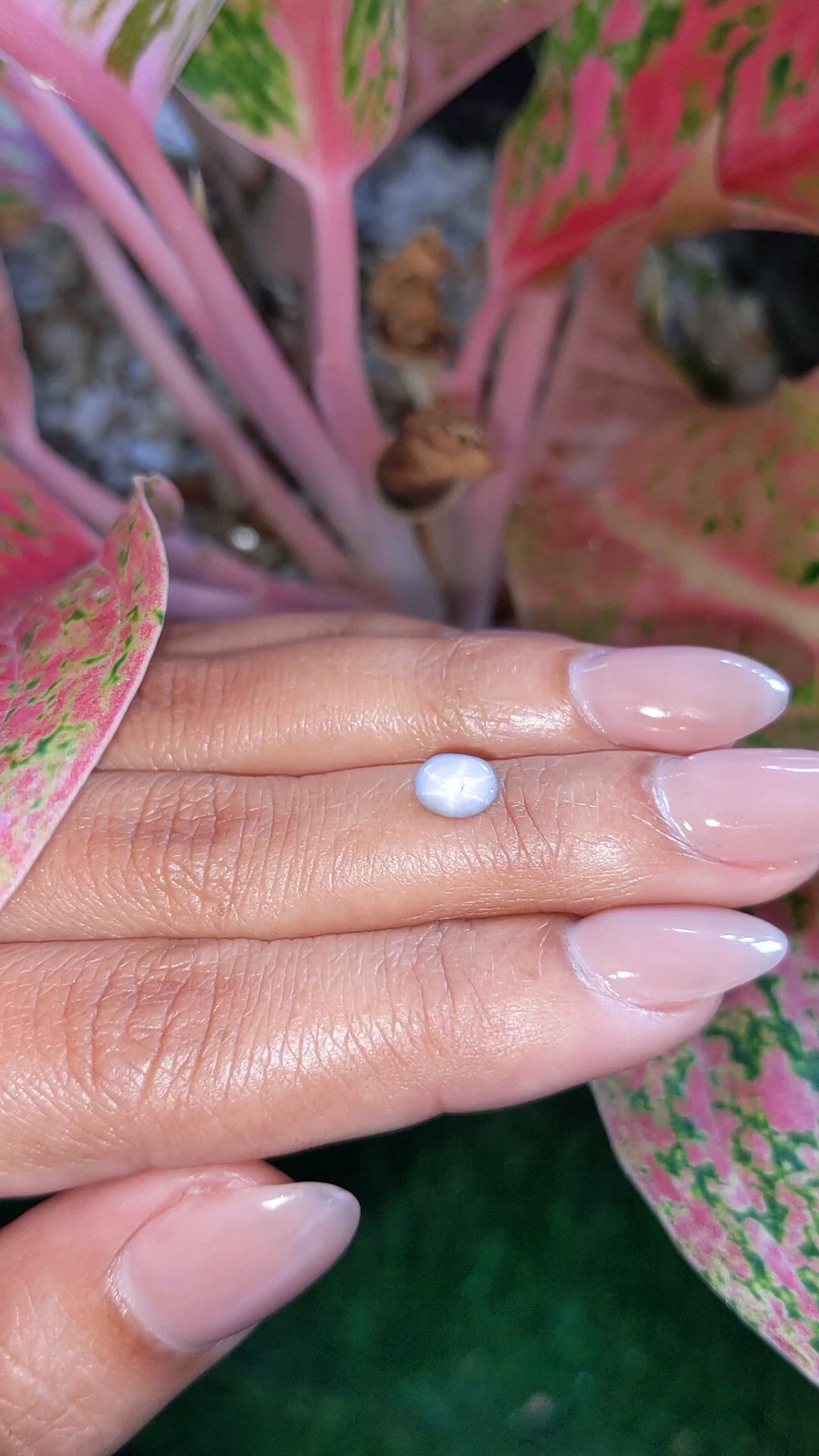 1.15 Ct. Bluish Grey Star Sapphire from Ceylon (Sri Lanka) Size Video