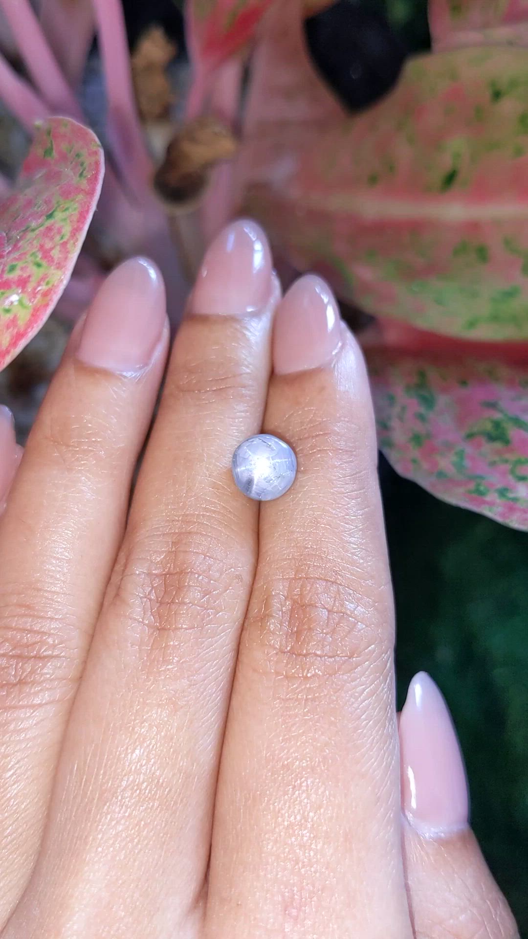 3.66 Ct. Greyish Blue Star Sapphire from Ceylon (Sri Lanka) Size Video