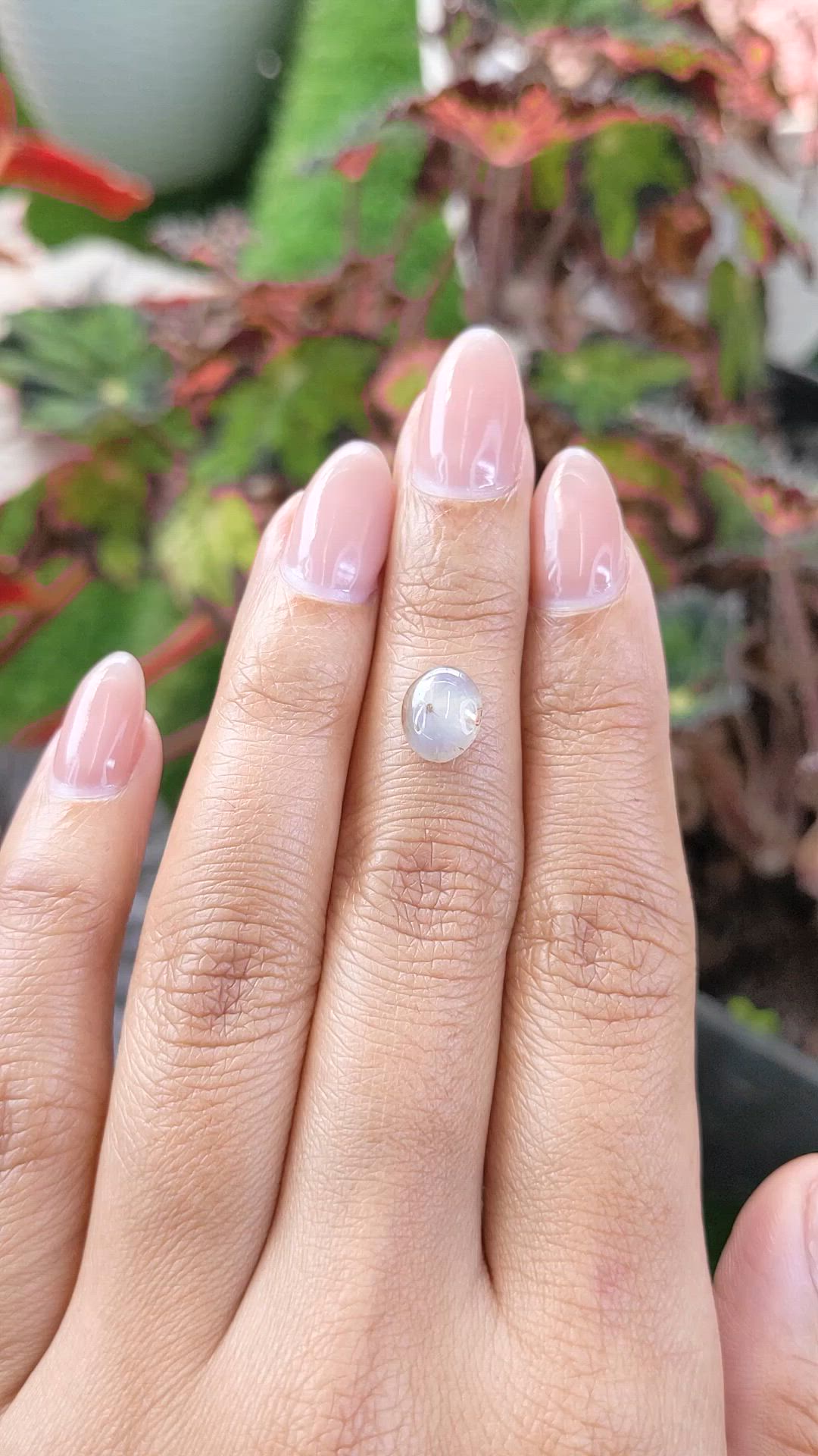 2.40 Ct. Grey Cabochon Sapphire from Ceylon (Sri Lanka) Size Video