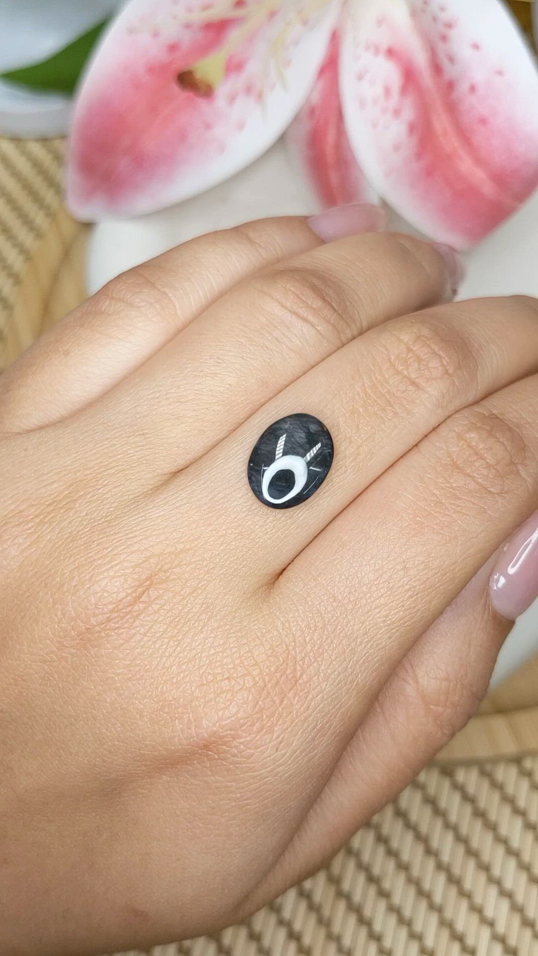 3.09 Ct. Black Cabochon Sapphire from Ceylon (Sri Lanka) Size Video