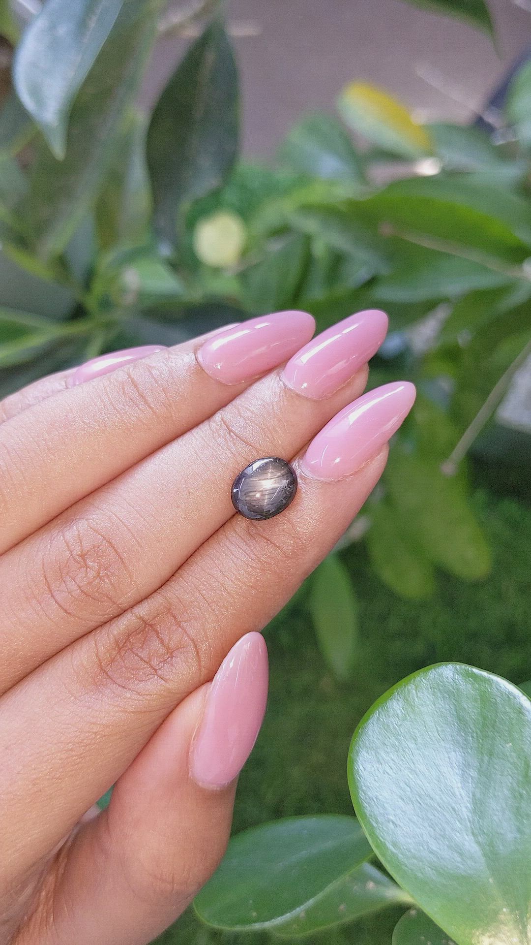 2.82 Ct. Black Star Sapphire from Ceylon (Sri Lanka) Size Video