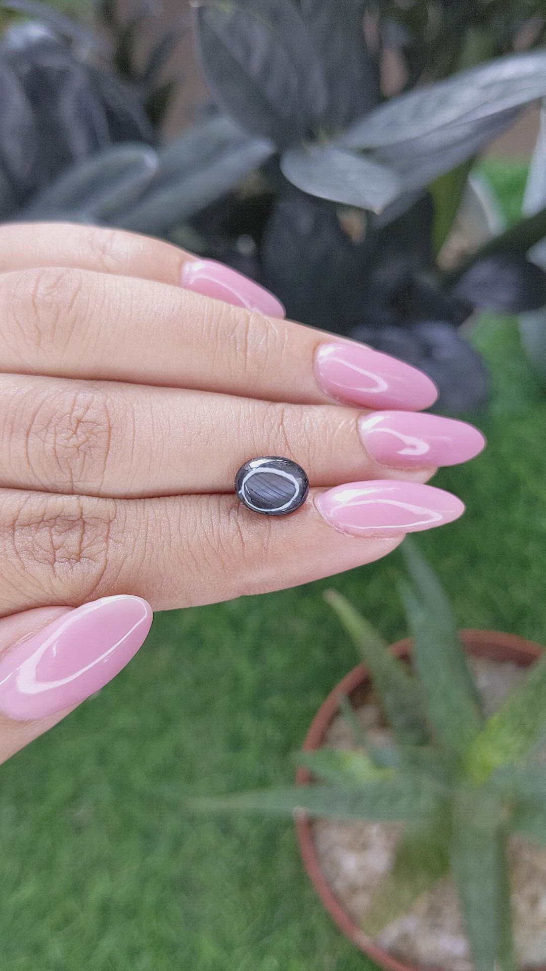 2.82 Ct. Black Star Sapphire from Ceylon (Sri Lanka) Size Video