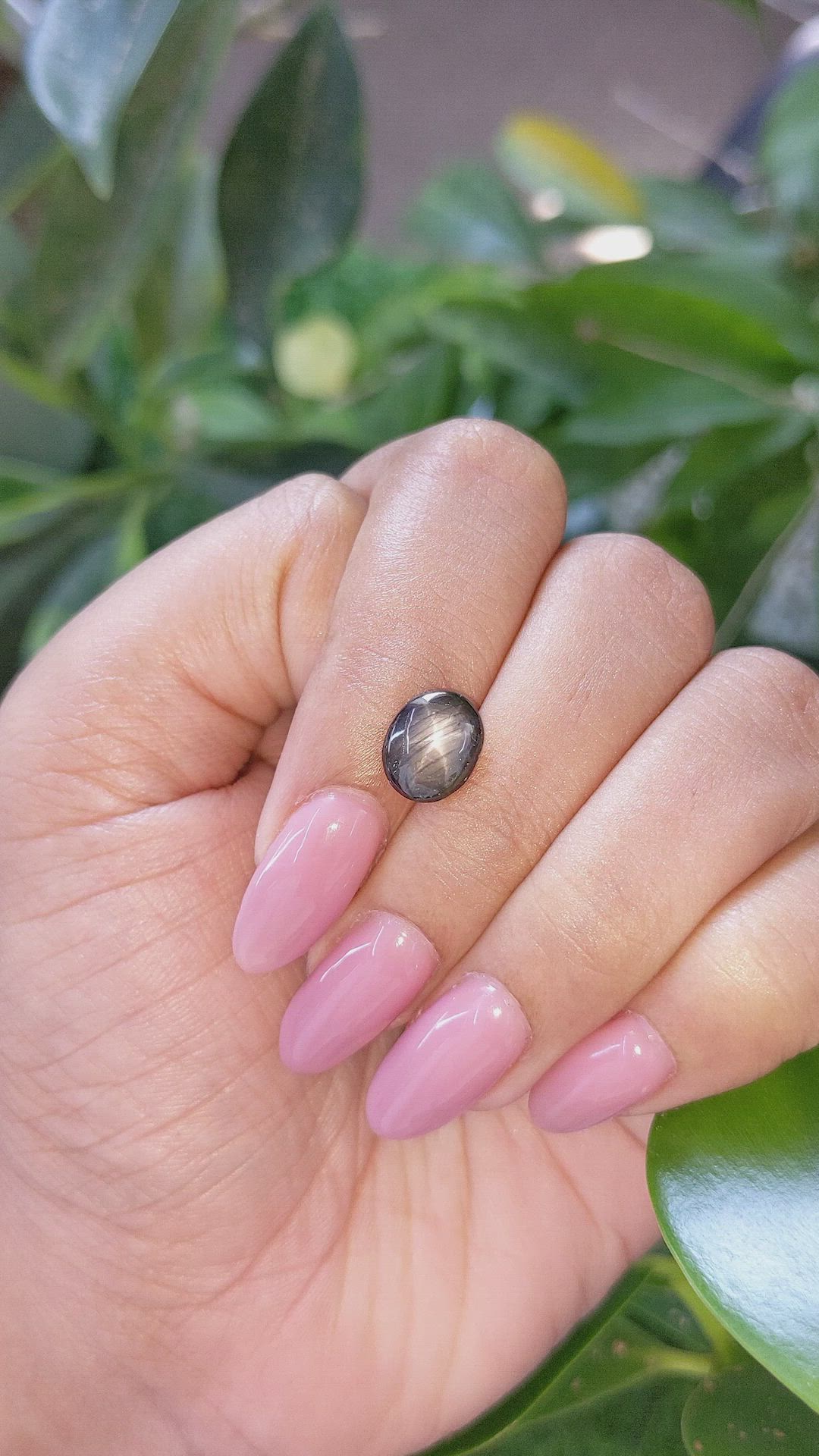 2.82 Ct. Black Star Sapphire from Ceylon (Sri Lanka) Size Video