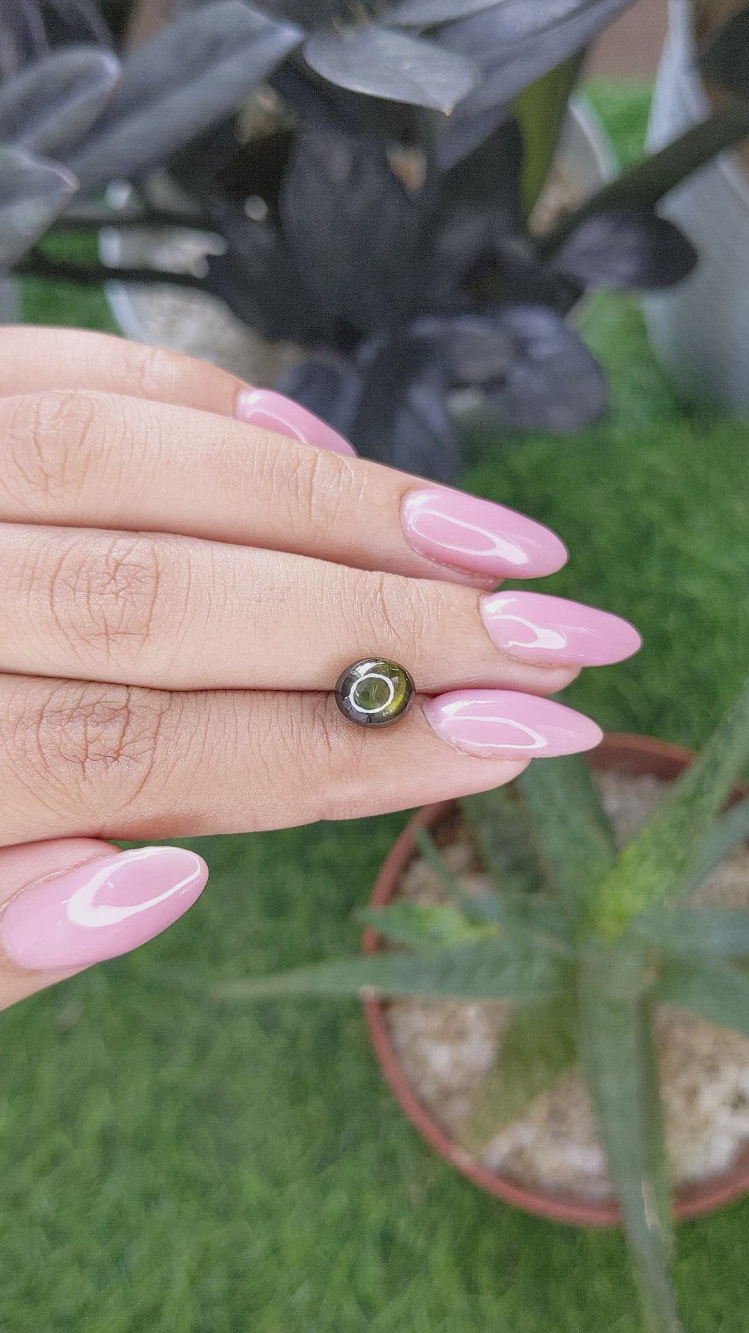3.24 Ct. Yellowish Green Star Sapphire from Ceylon (Sri Lanka) Size Video
