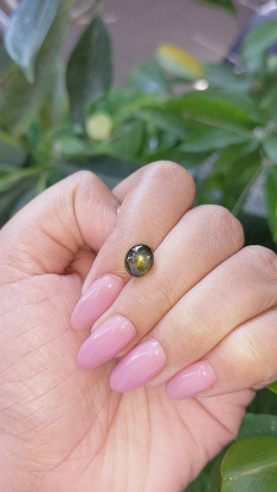 3.24 Ct. Yellowish Green Star Sapphire from Ceylon (Sri Lanka) Size Video