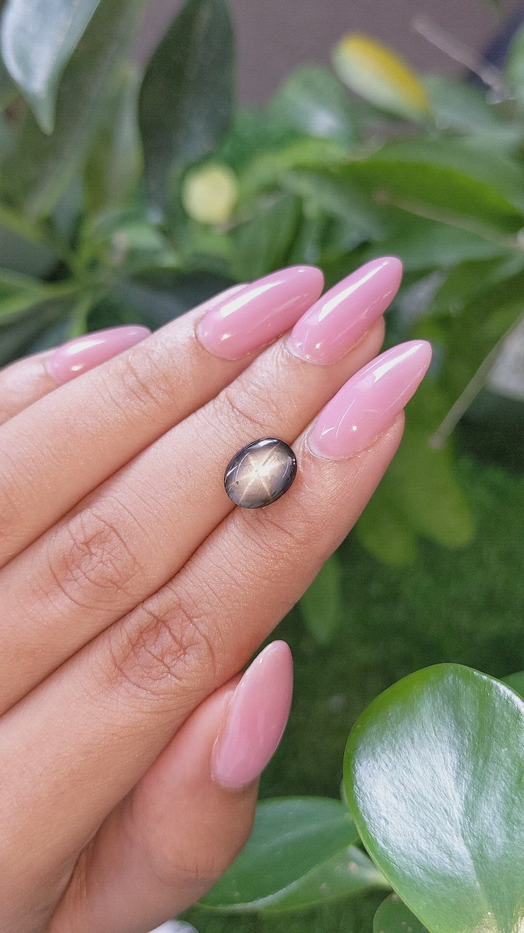 3.94 Ct. Black Star Sapphire from Ceylon (Sri Lanka) Size Video