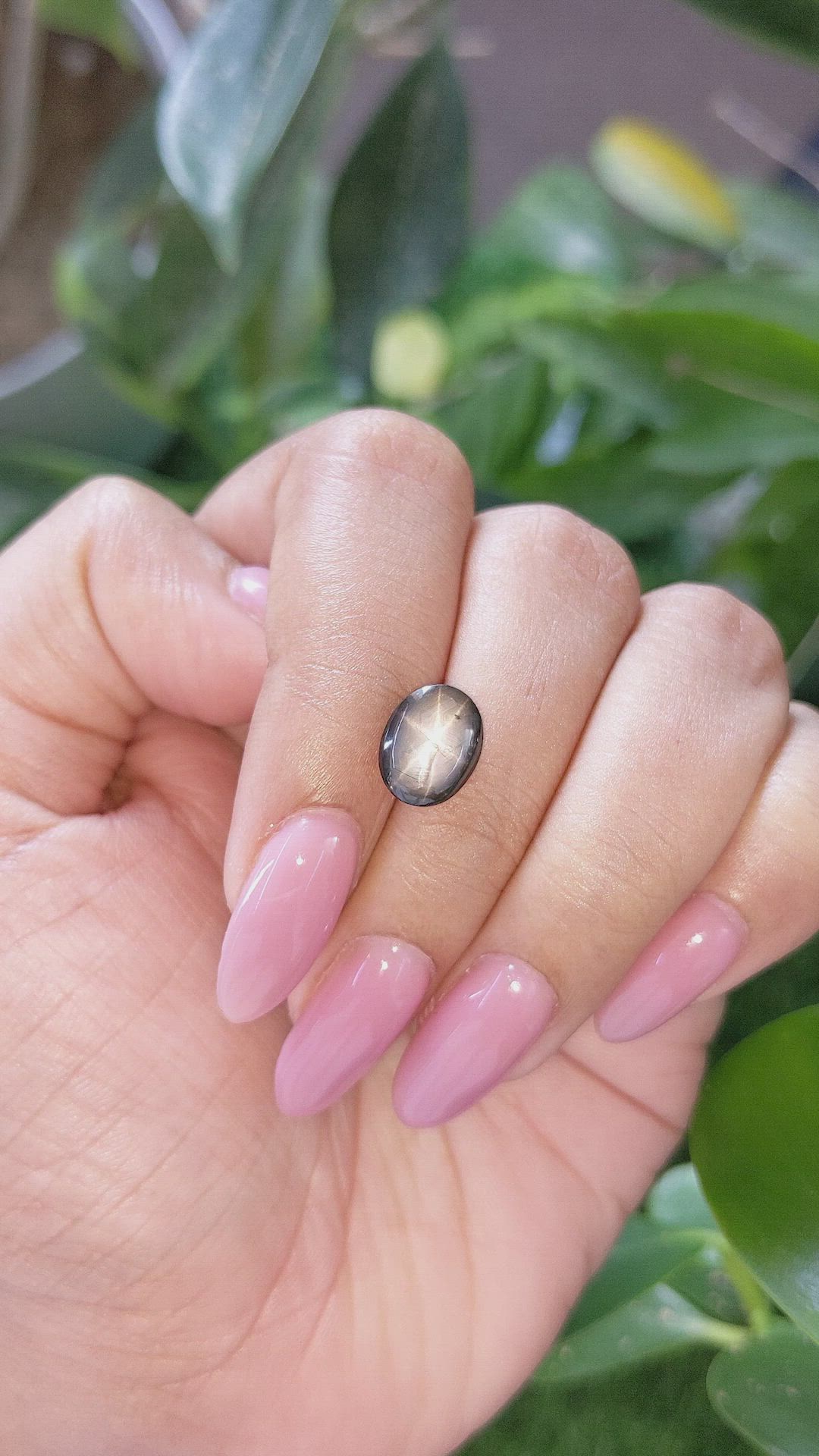 3.94 Ct. Black Star Sapphire from Ceylon (Sri Lanka) Size Video