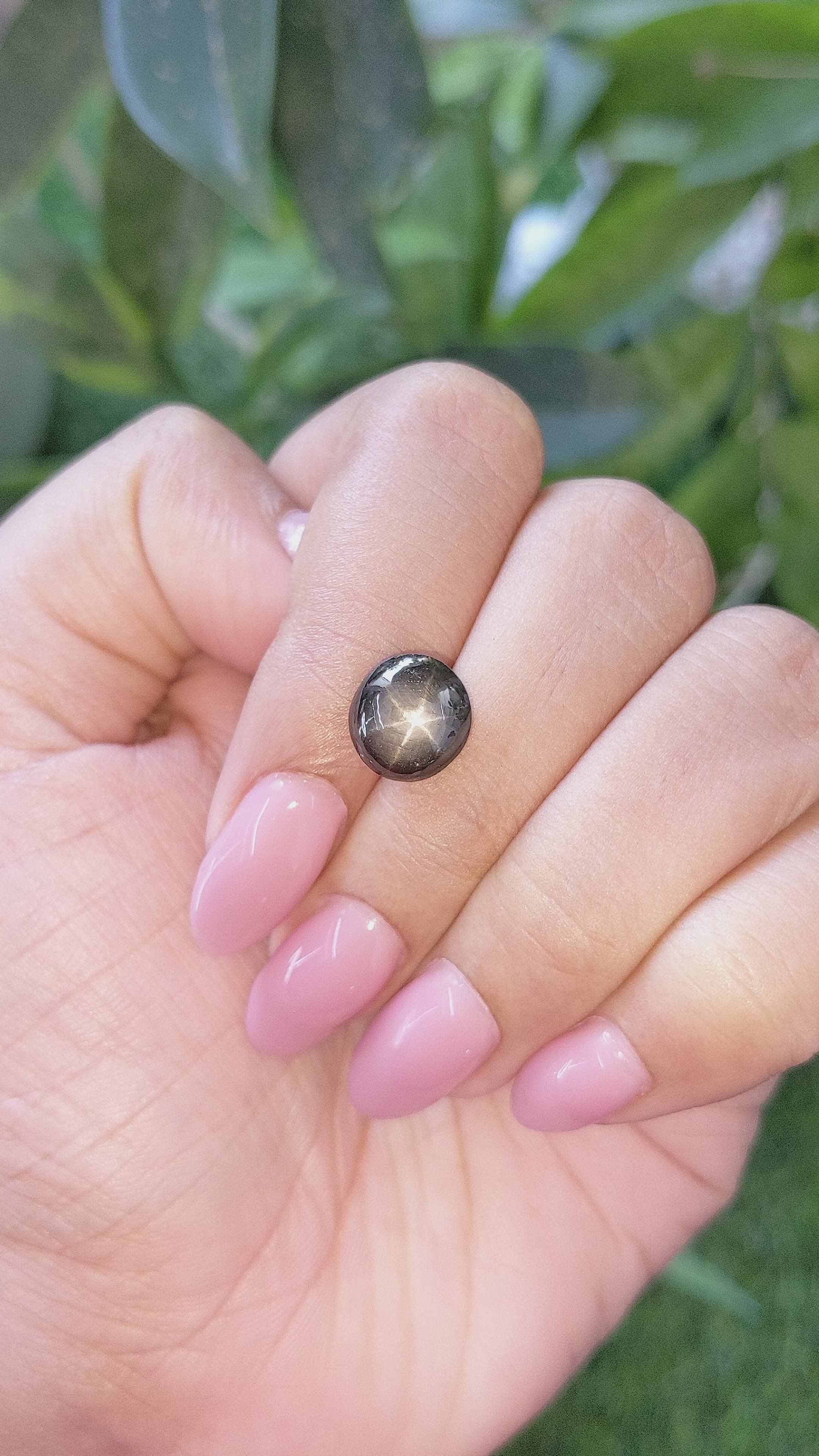 6.33 Ct. Black Star Sapphire from Ceylon (Sri Lanka) Size Video