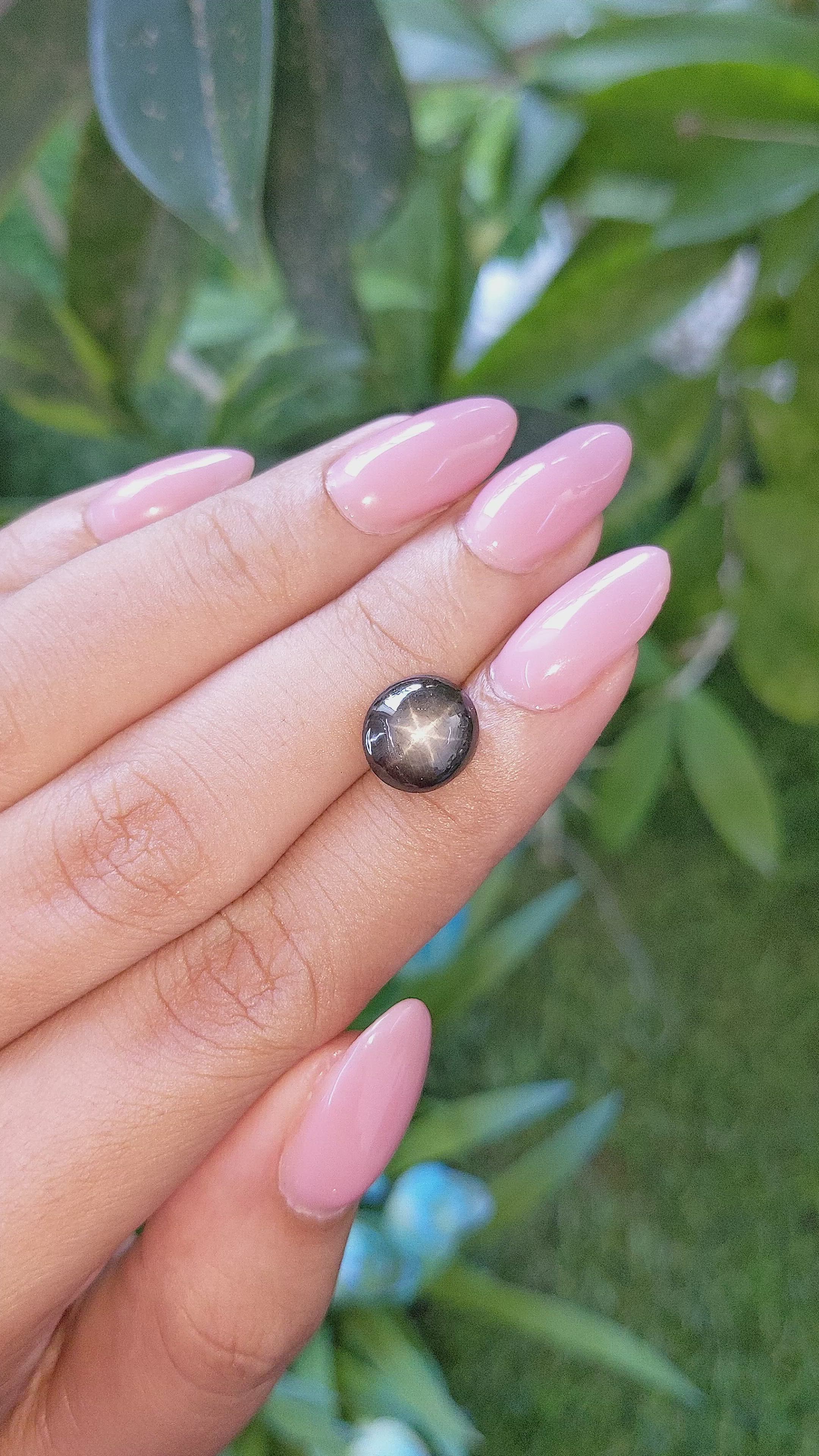 6.33 Ct. Black Star Sapphire from Ceylon (Sri Lanka) Size Video