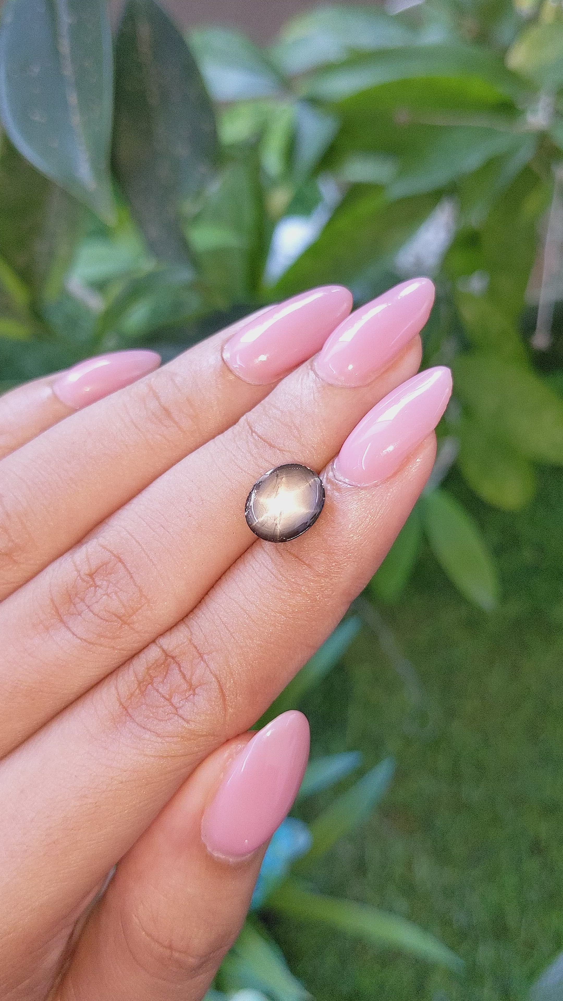 5.21 Ct. Black Star Sapphire from Ceylon (Sri Lanka) Size Video