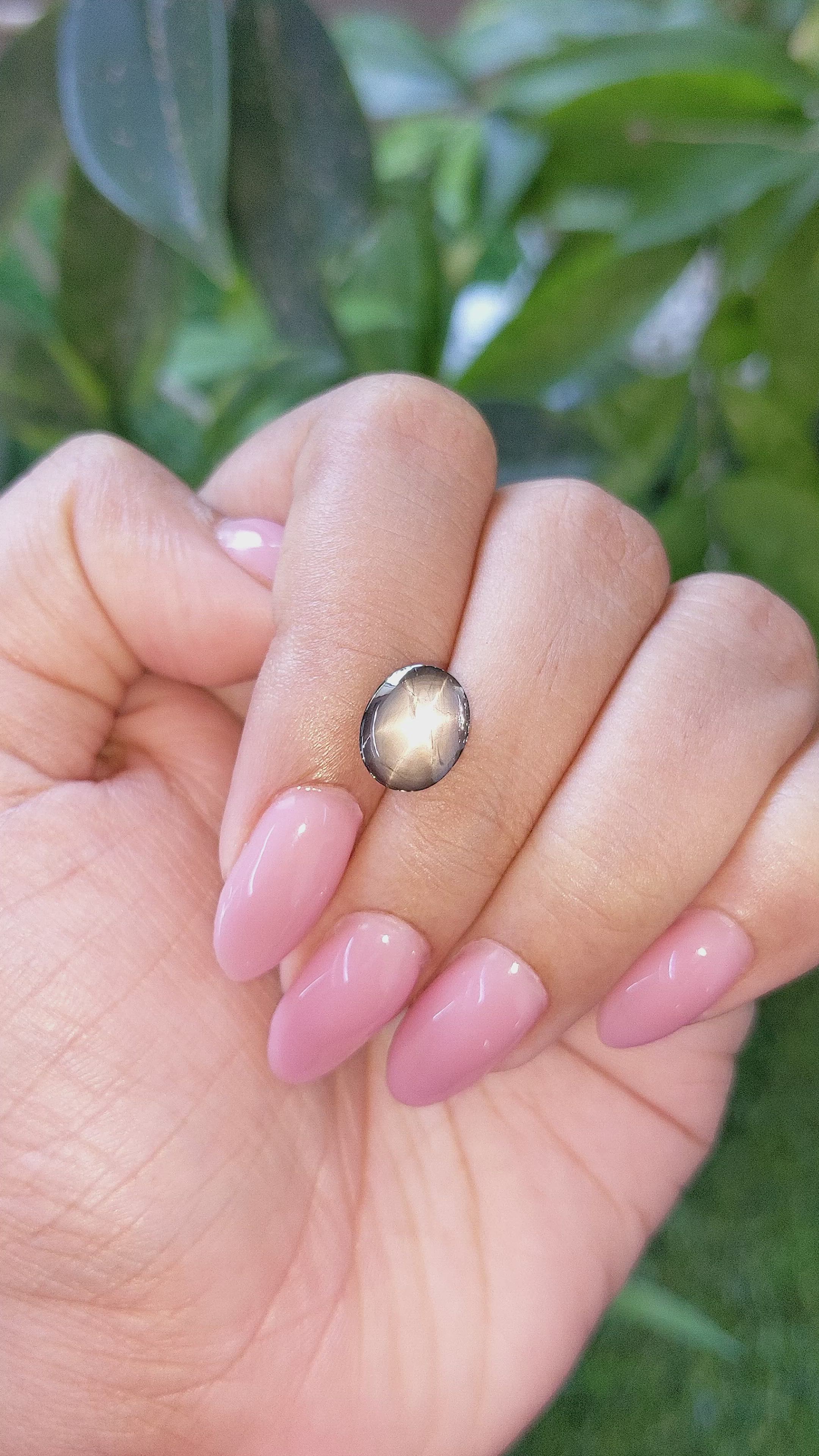 5.21 Ct. Black Star Sapphire from Ceylon (Sri Lanka) Size Video