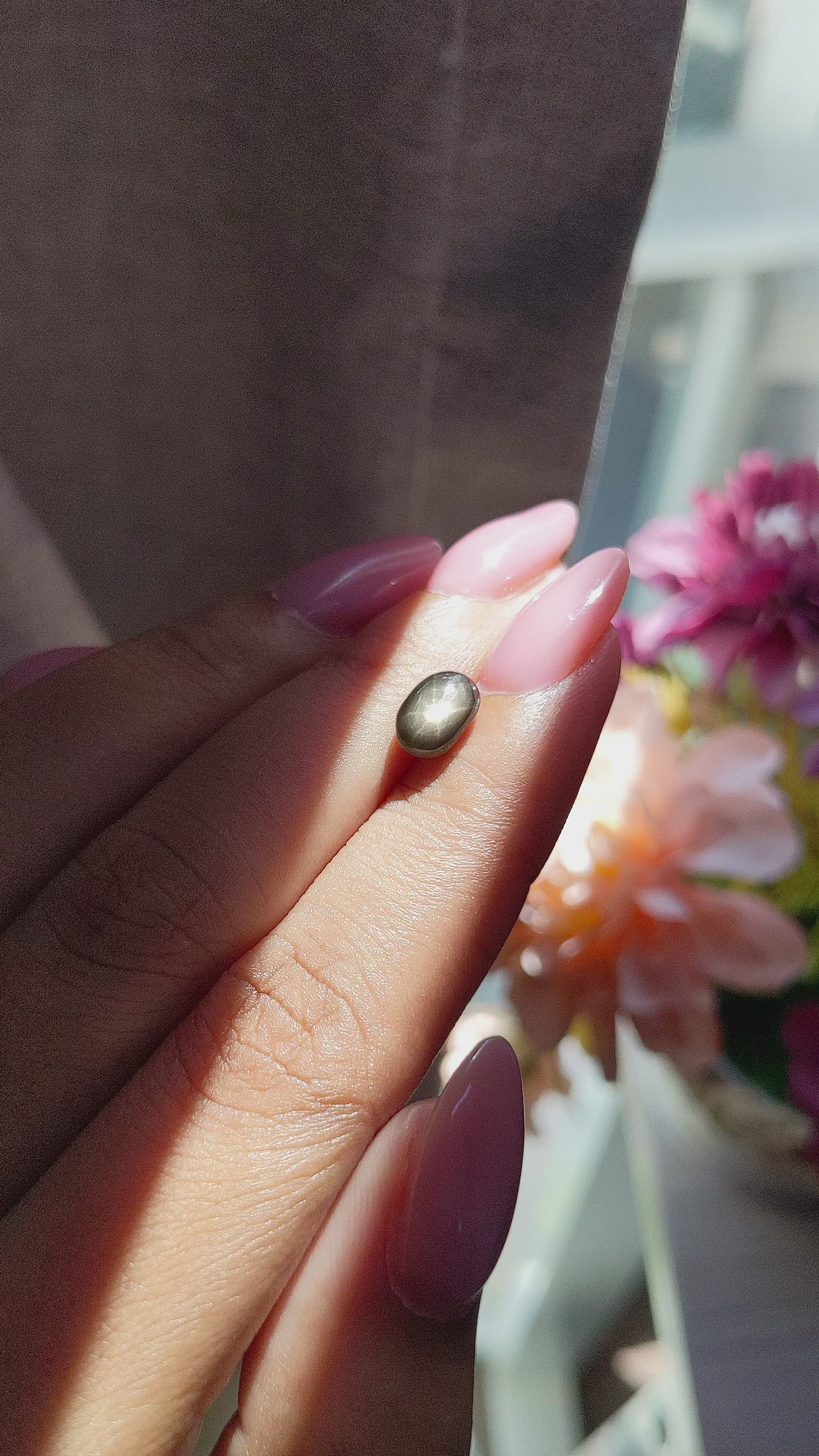 2.28 Ct. Black Star Sapphire from Ceylon (Sri Lanka) Size Video