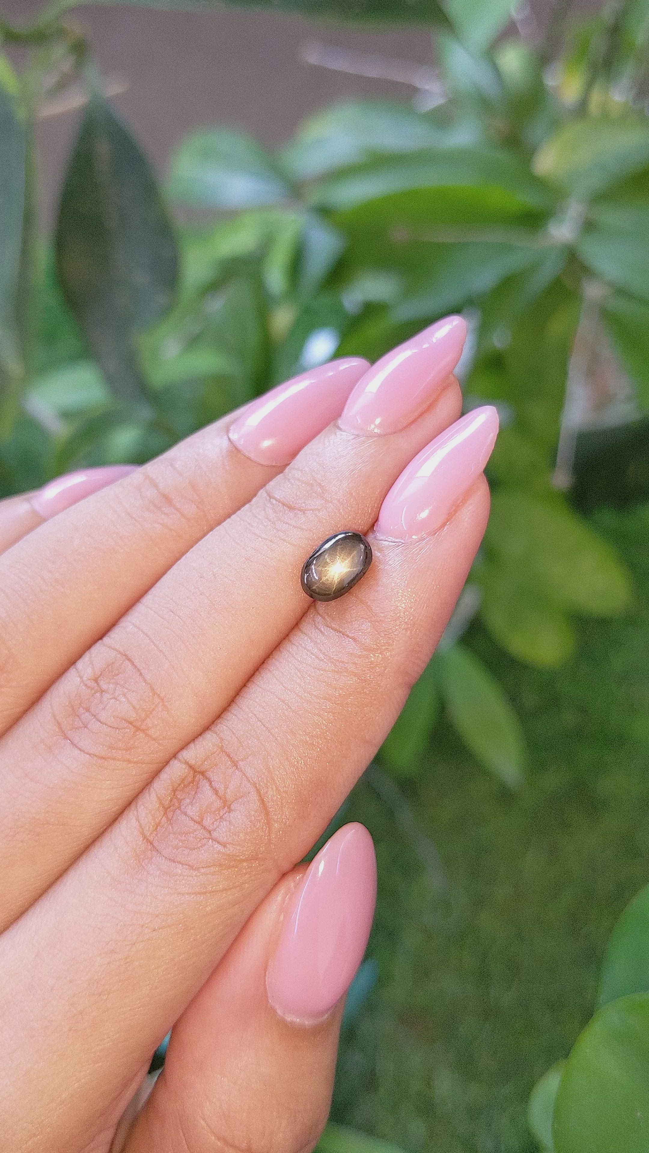 2.28 Ct. Black Star Sapphire from Ceylon (Sri Lanka) Size Video