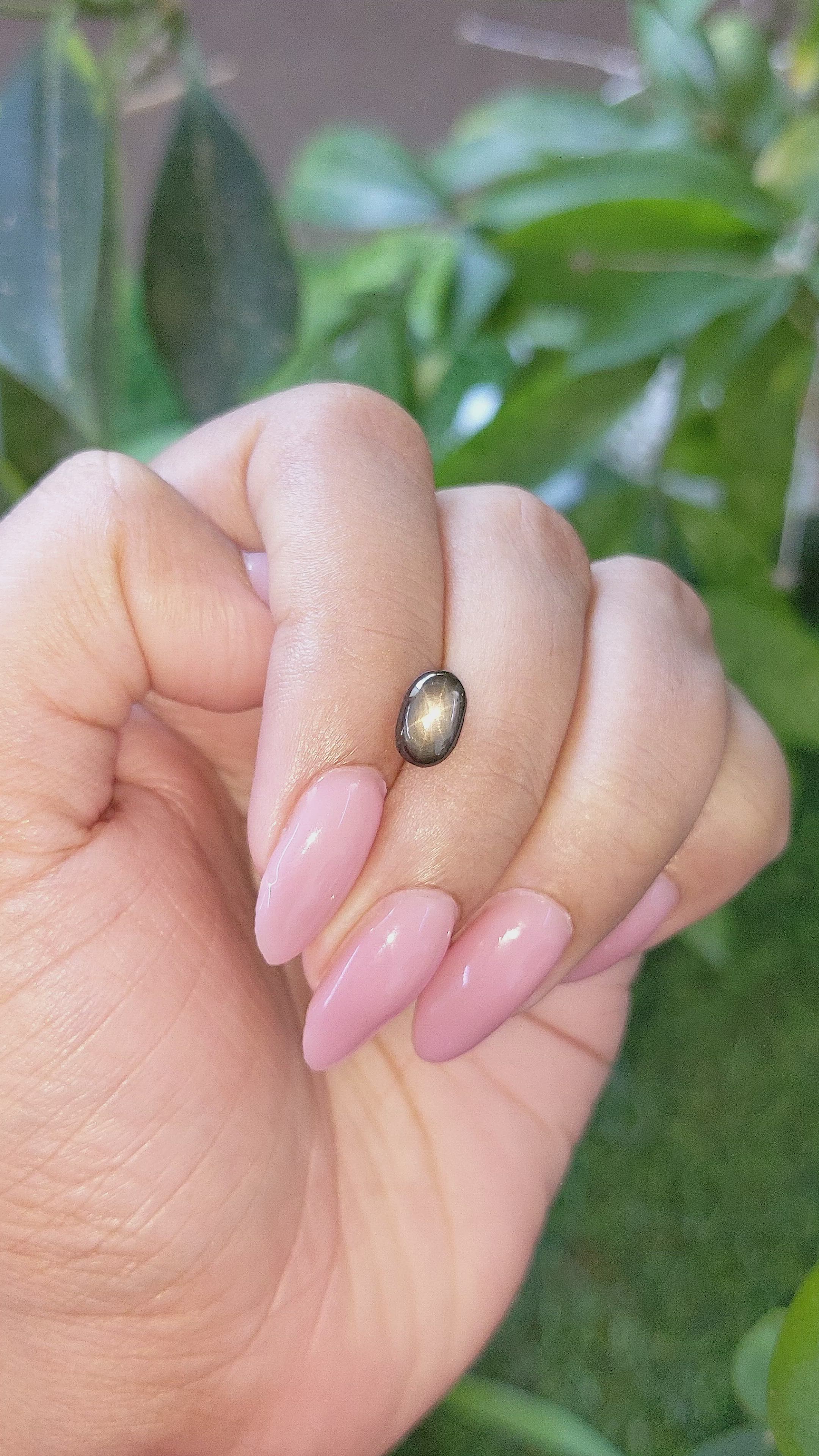 2.28 Ct. Black Star Sapphire from Ceylon (Sri Lanka) Size Video