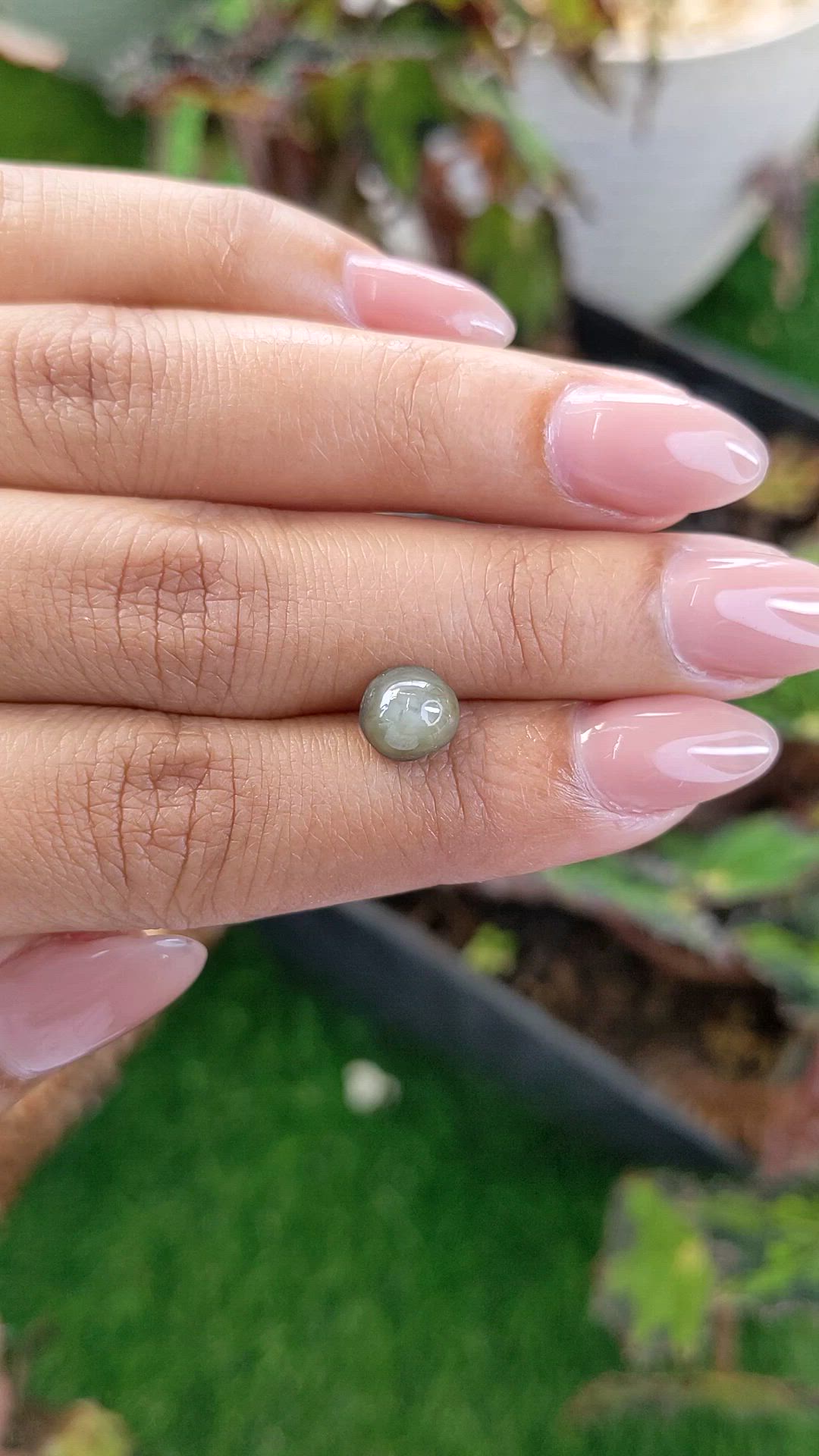 2.86 Ct. Green Star Sapphire from Ceylon (Sri Lanka) Size Video