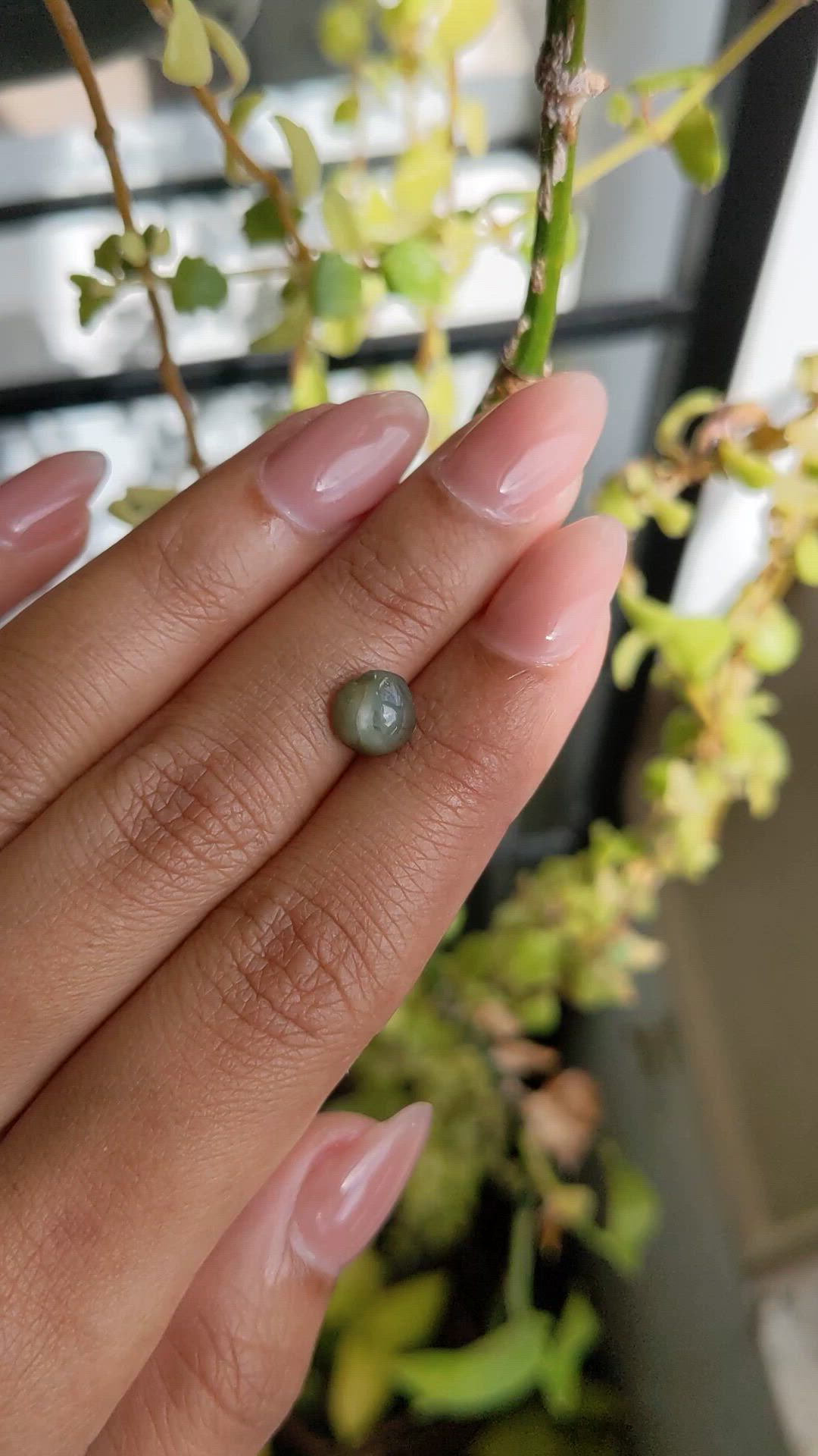 2.86 Ct. Green Star Sapphire from Ceylon (Sri Lanka) Size Video