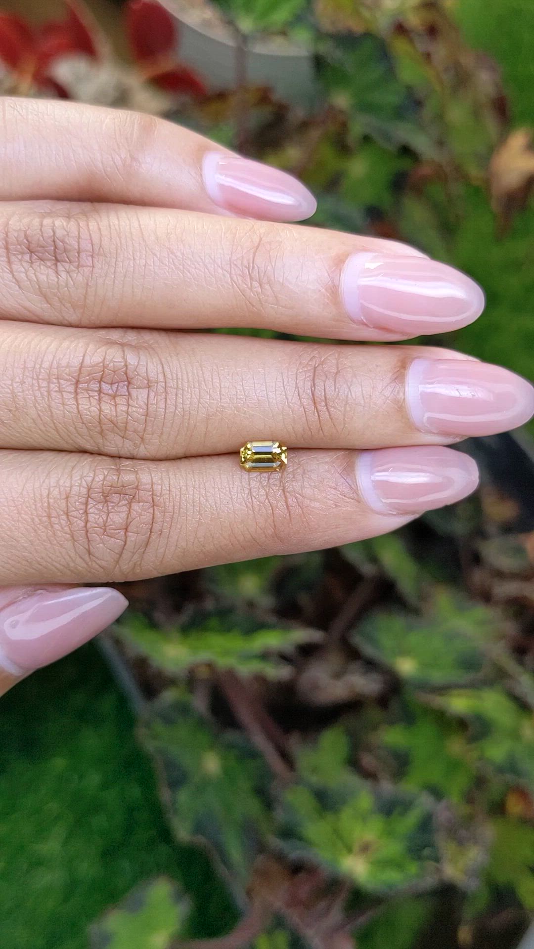 0.60 Ct. Greenish Yellow Sapphire from Ceylon (Sri Lanka) Size Video