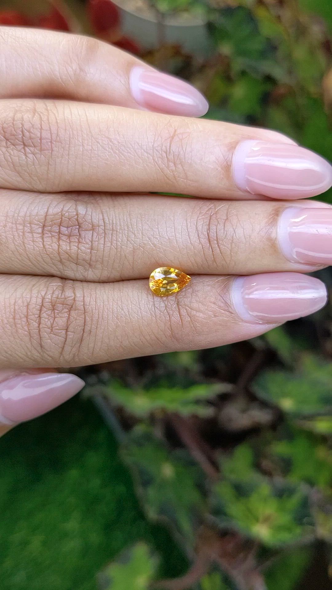 1.13 Ct. Orangish Yellow Sapphire from Ceylon (Sri Lanka) Size Video