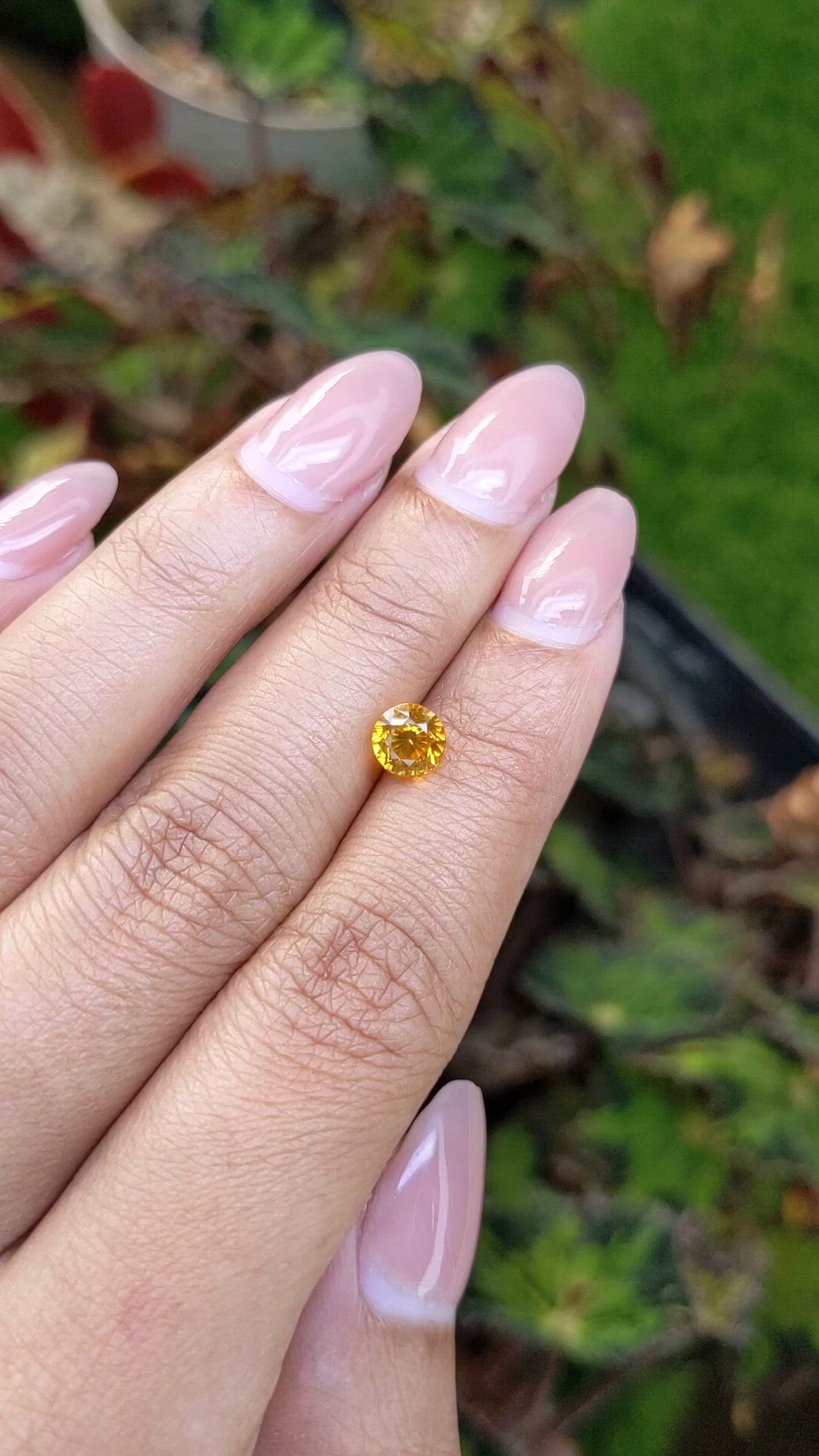 1.43 Ct. Orangish Yellow Sapphire from Ceylon (Sri Lanka) Size Video