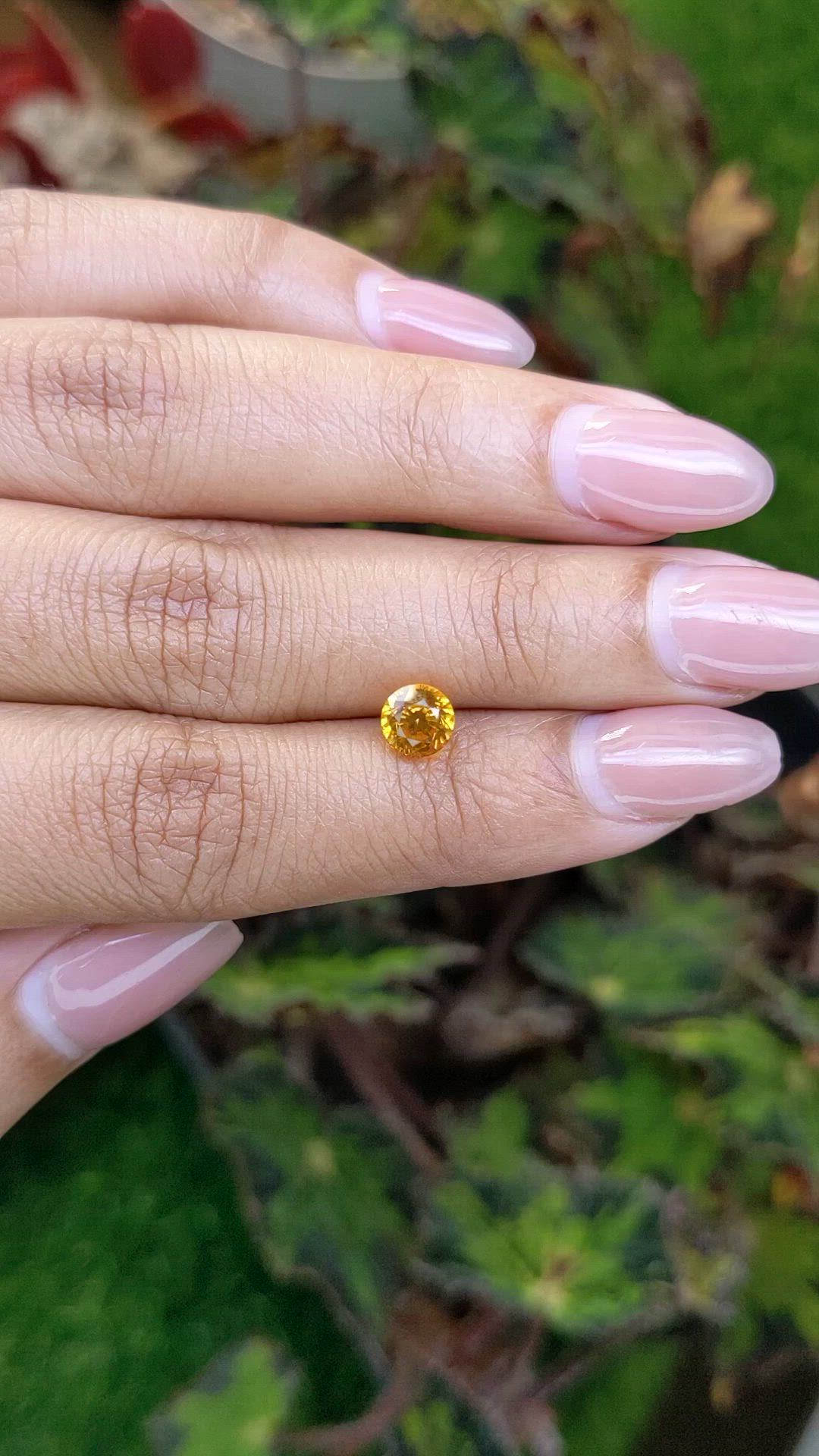1.43 Ct. Orangish Yellow Sapphire from Ceylon (Sri Lanka) Size Video