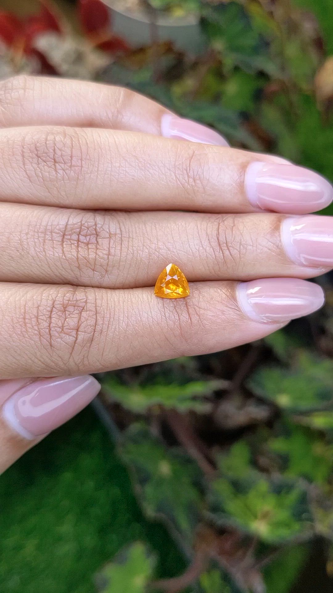 1.39 Ct. Yellowish Orange Sapphire from Ceylon (Sri Lanka) Size Video