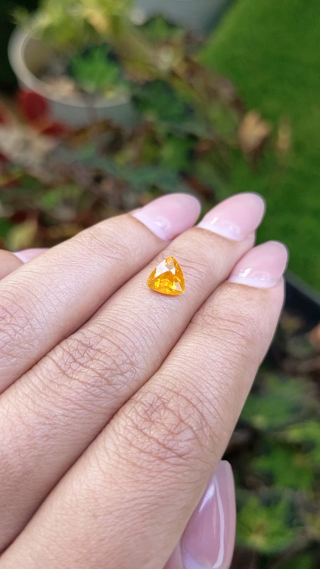 1.39 Ct. Yellowish Orange Sapphire from Ceylon (Sri Lanka) Size Video